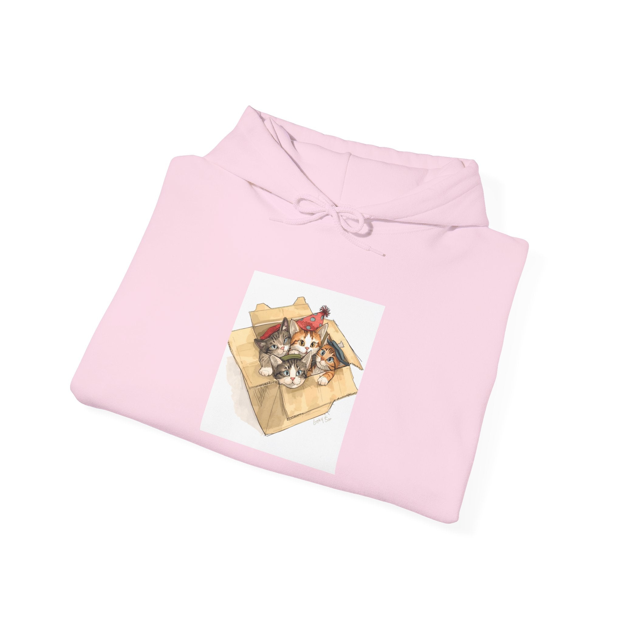 Cozy Kittens In Box Hoodie, Sweatshirt Gift for Cat Enthusiasts, Casual Wear for Pet Lovers, Birthday, Christmas Sweatshirt