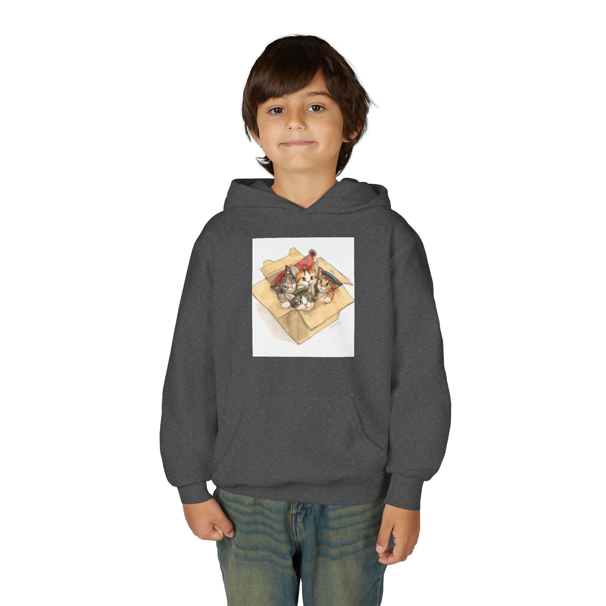 Cute Kittens In Box Youth Heavy Blend Hooded Sweatshirt