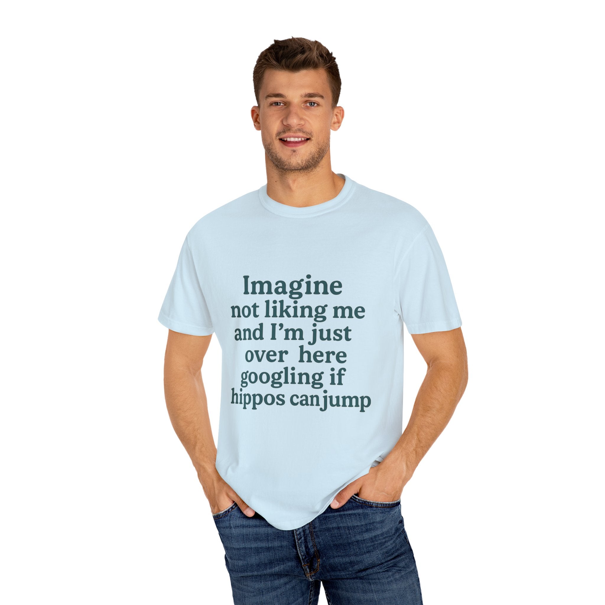 Humorous Unisex Garment-Dyed T-Shirt - 'Imagine Not Liking Me'