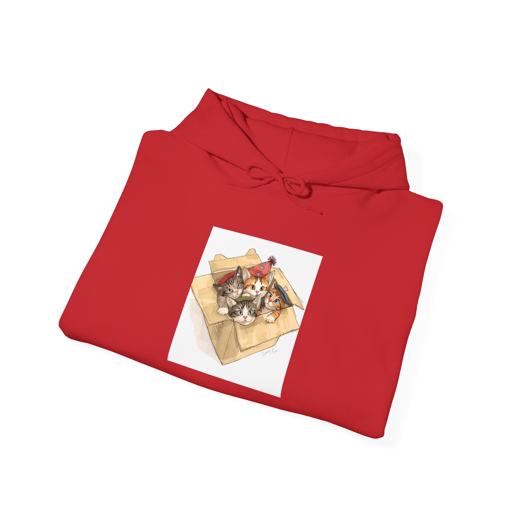 Cozy Kittens In Box Hoodie, Sweatshirt Gift for Cat Enthusiasts, Casual Wear for Pet Lovers, Birthday, Christmas Sweatshirt