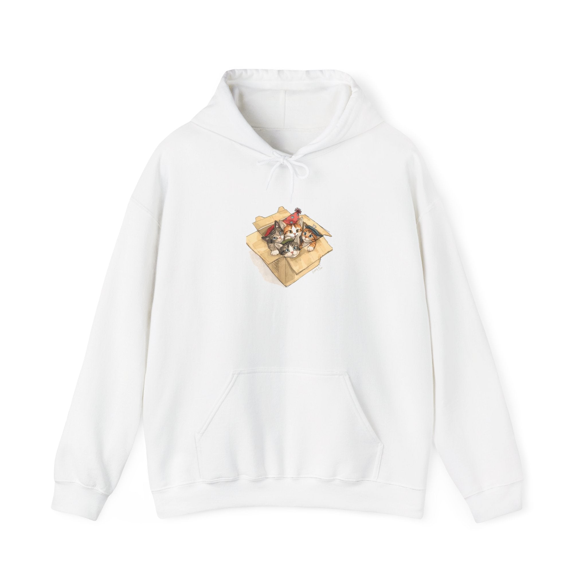 Cozy Kittens In Box Hoodie, Sweatshirt Gift for Cat Enthusiasts, Casual Wear for Pet Lovers, Birthday, Christmas Sweatshirt