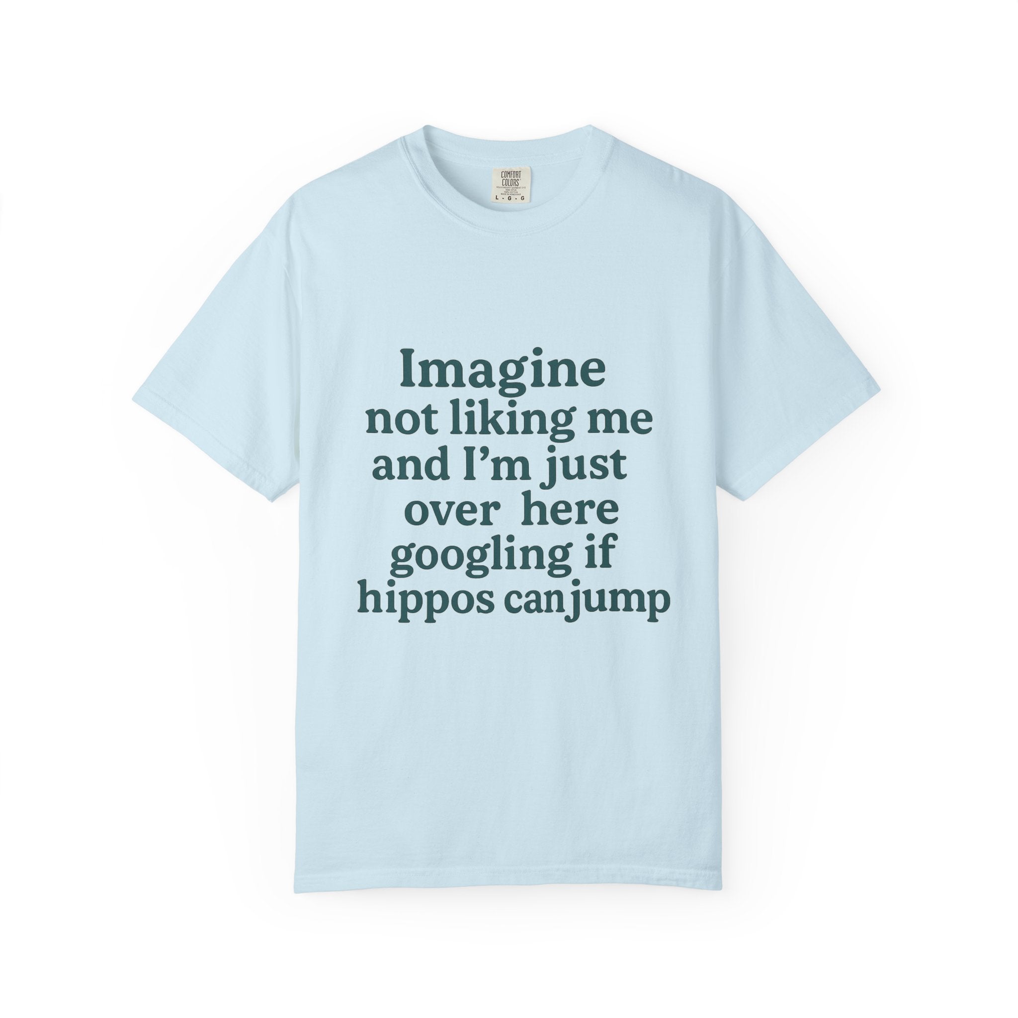 Humorous Unisex Garment-Dyed T-Shirt - 'Imagine Not Liking Me'