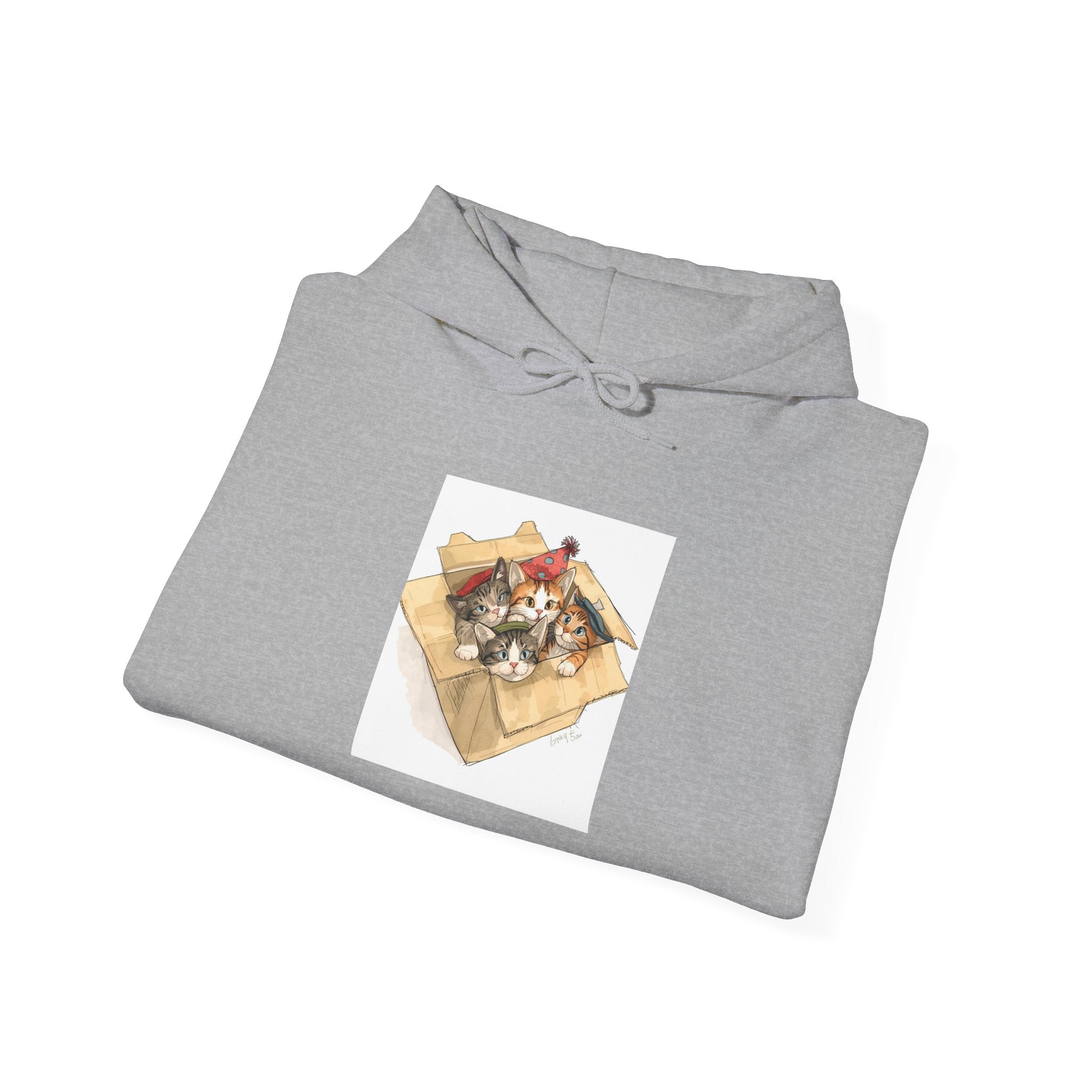 Cozy Kittens In Box Hoodie, Sweatshirt Gift for Cat Enthusiasts, Casual Wear for Pet Lovers, Birthday, Christmas Sweatshirt