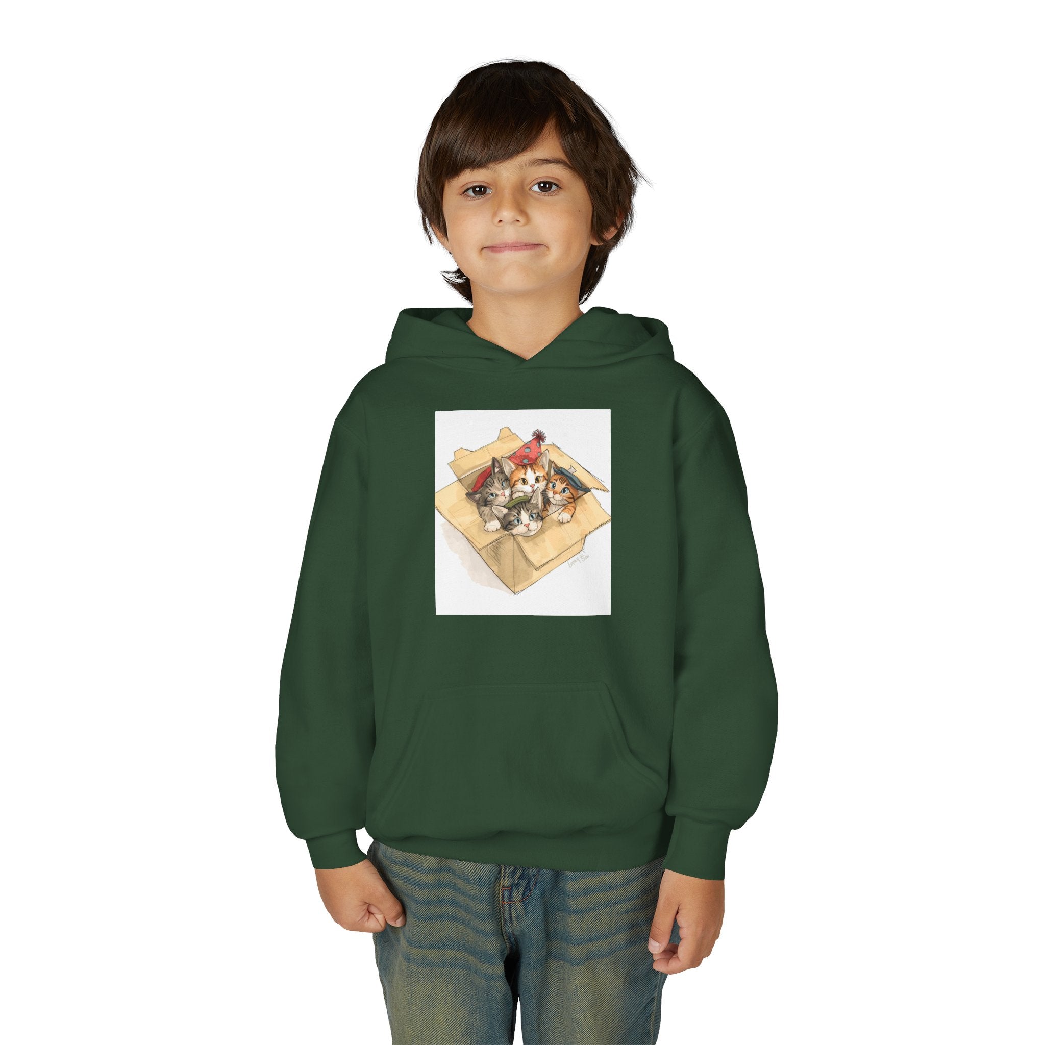 Cute Kittens In Box Youth Heavy Blend Hooded Sweatshirt