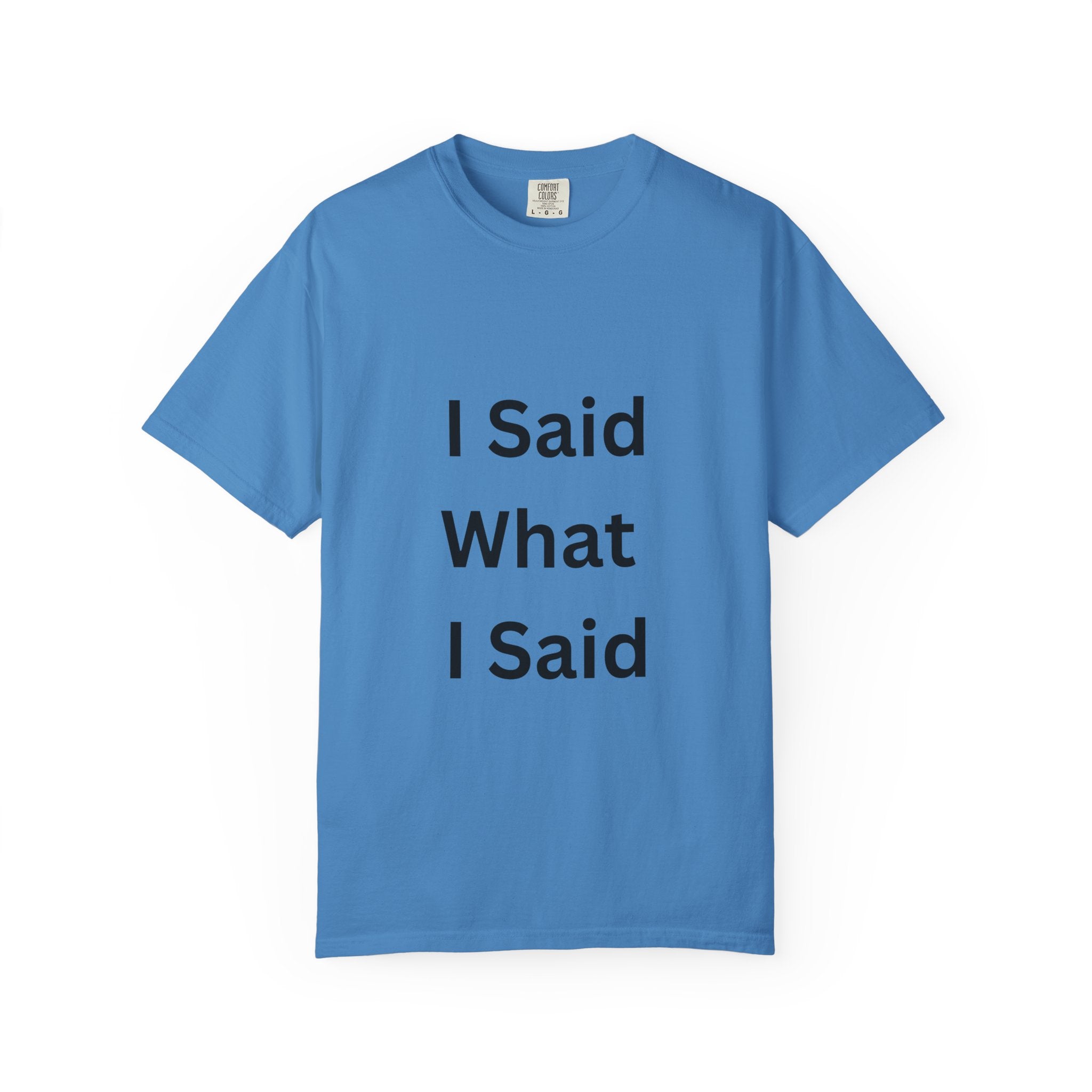 I Said What I Said Unisex Garment-Dyed T-shirt