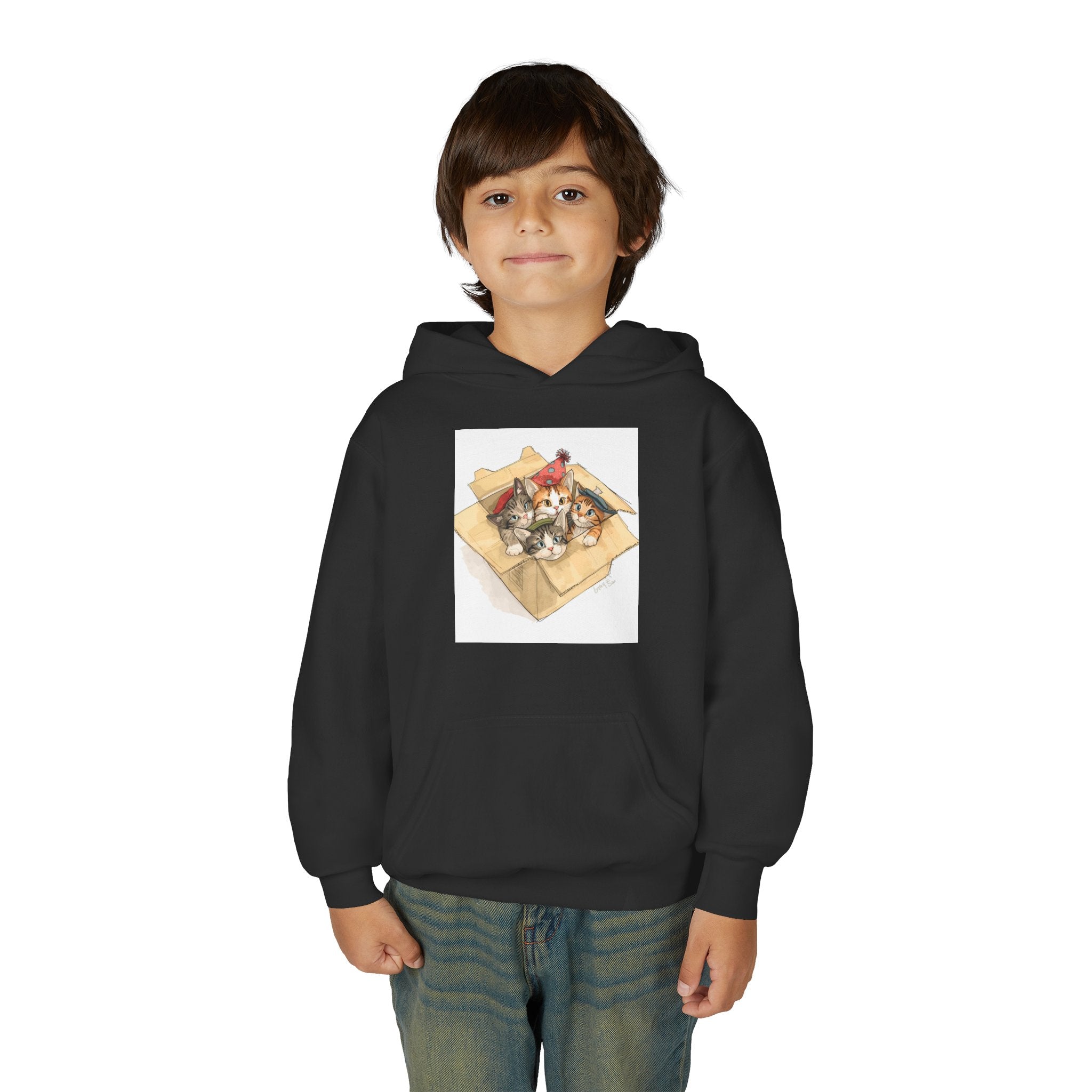 Cute Kittens In Box Youth Heavy Blend Hooded Sweatshirt