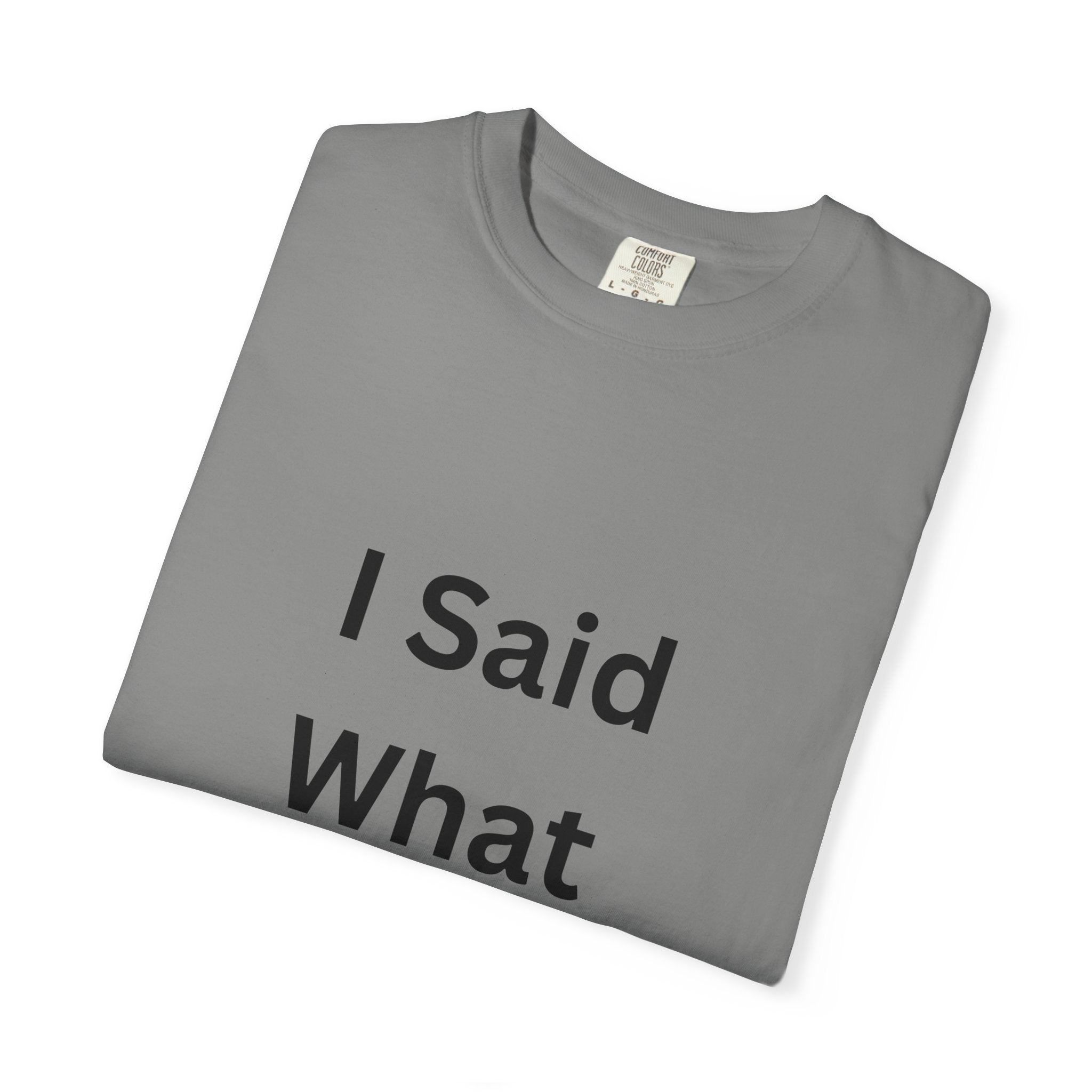 Unisex Garment-Dyed T-Shirt with 'I Said What I Said' Print, Casual Tee, Gift for Friends, Pop Culture Apparel, Relaxed Fit