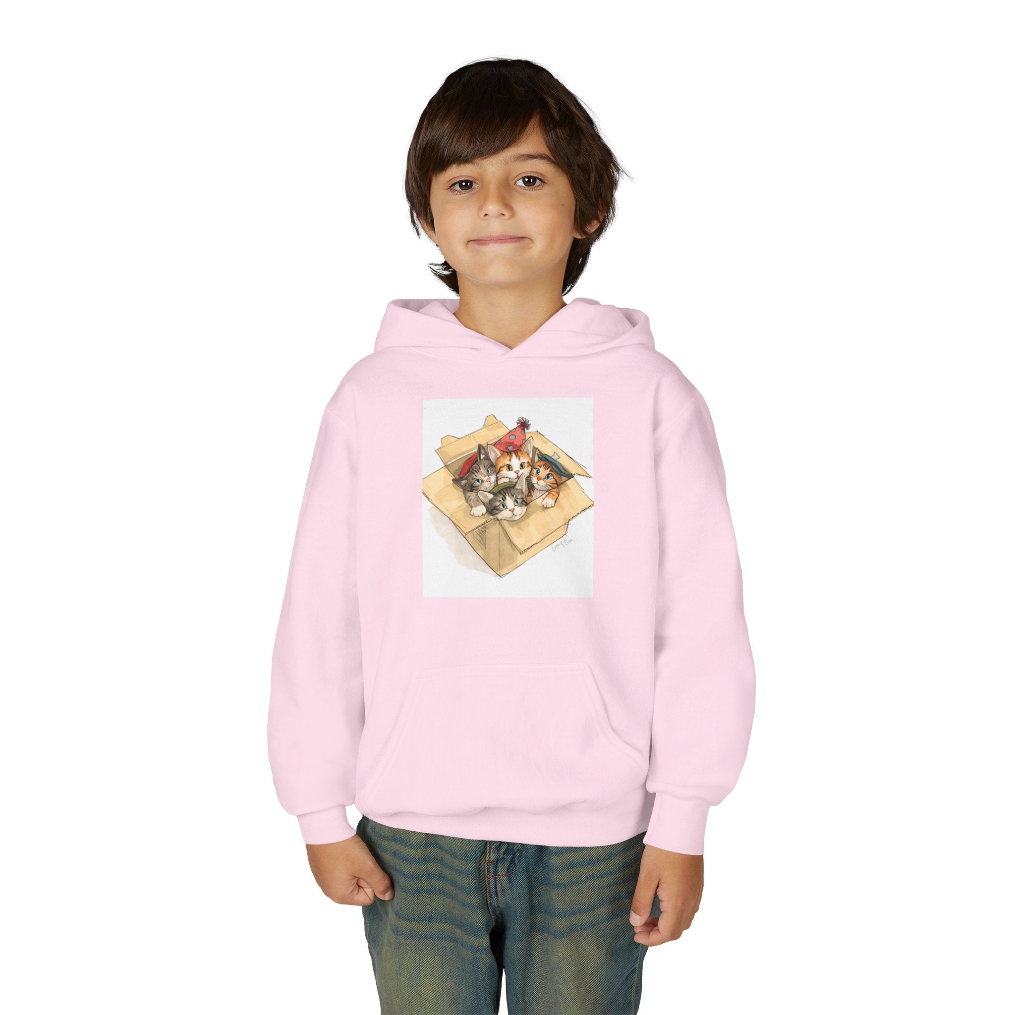 Cute Kittens In Box Youth Heavy Blend Hooded Sweatshirt