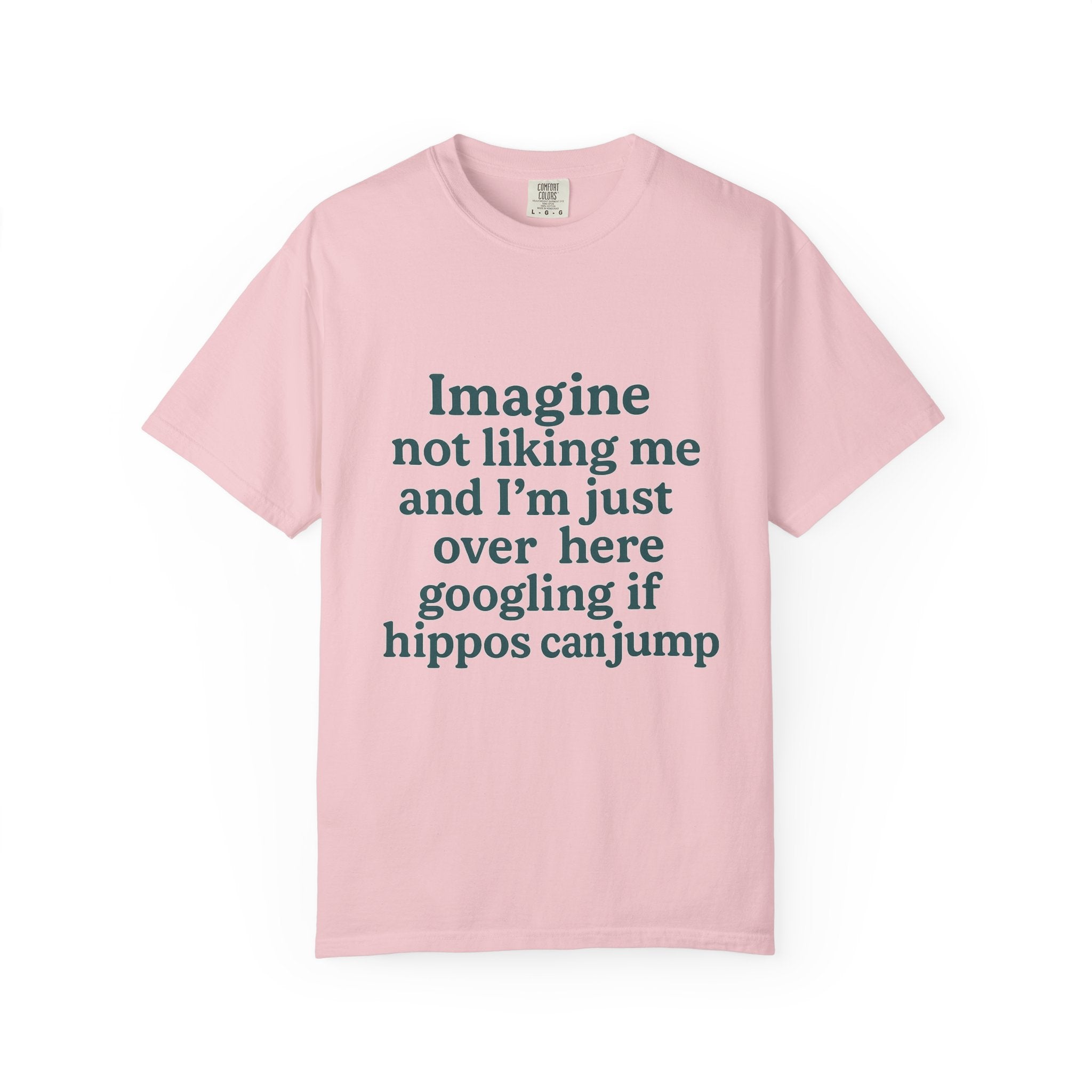Humorous Unisex Garment-Dyed T-Shirt - 'Imagine Not Liking Me'