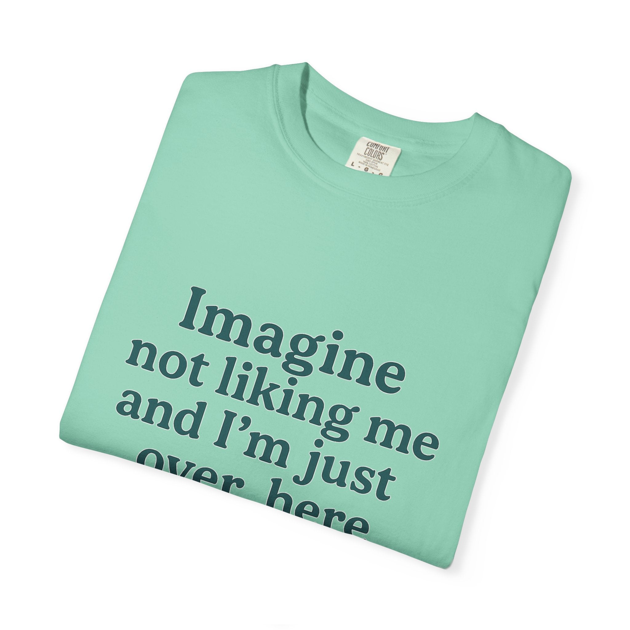 Humorous Unisex Garment-Dyed T-Shirt - 'Imagine Not Liking Me'