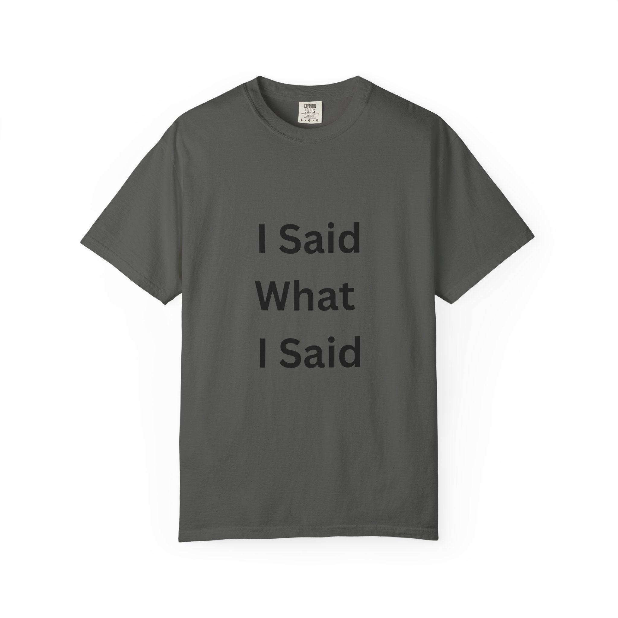 Unisex Garment-Dyed T-Shirt with 'I Said What I Said' Print, Casual Tee, Gift for Friends, Pop Culture Apparel, Relaxed Fit