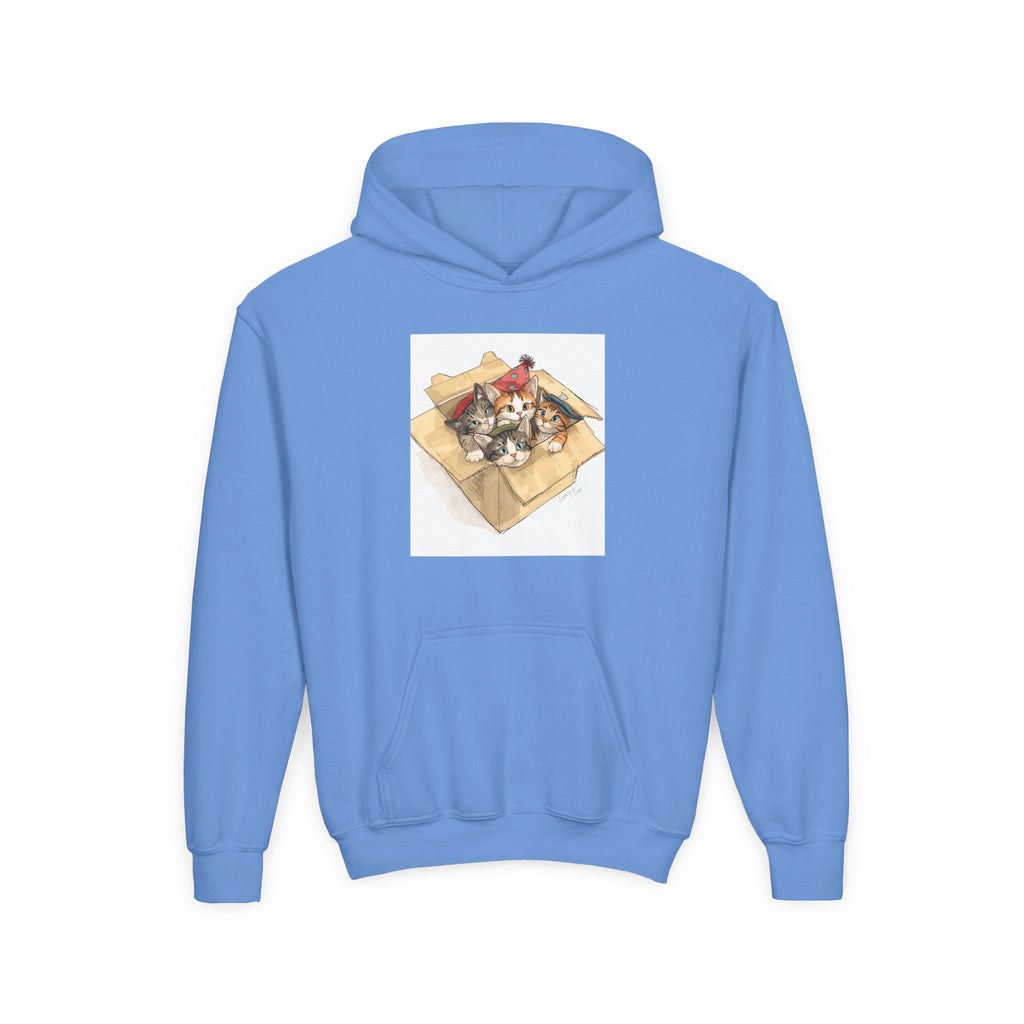 Cute Kittens In Box Youth Heavy Blend Hooded Sweatshirt