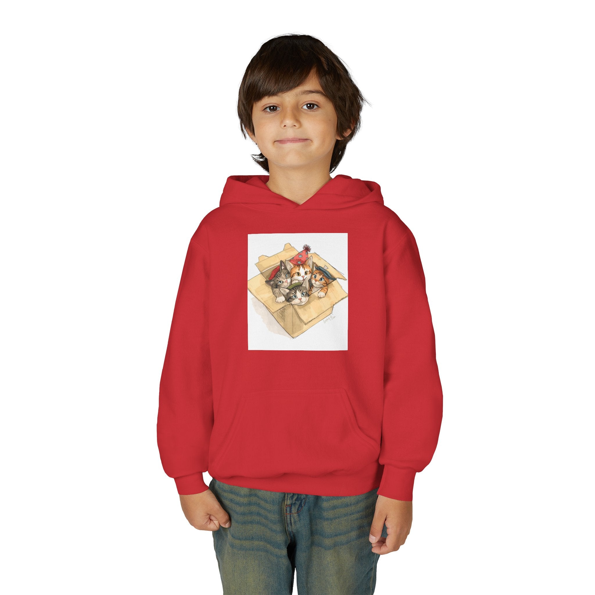 Cute Kittens In Box Youth Heavy Blend Hooded Sweatshirt