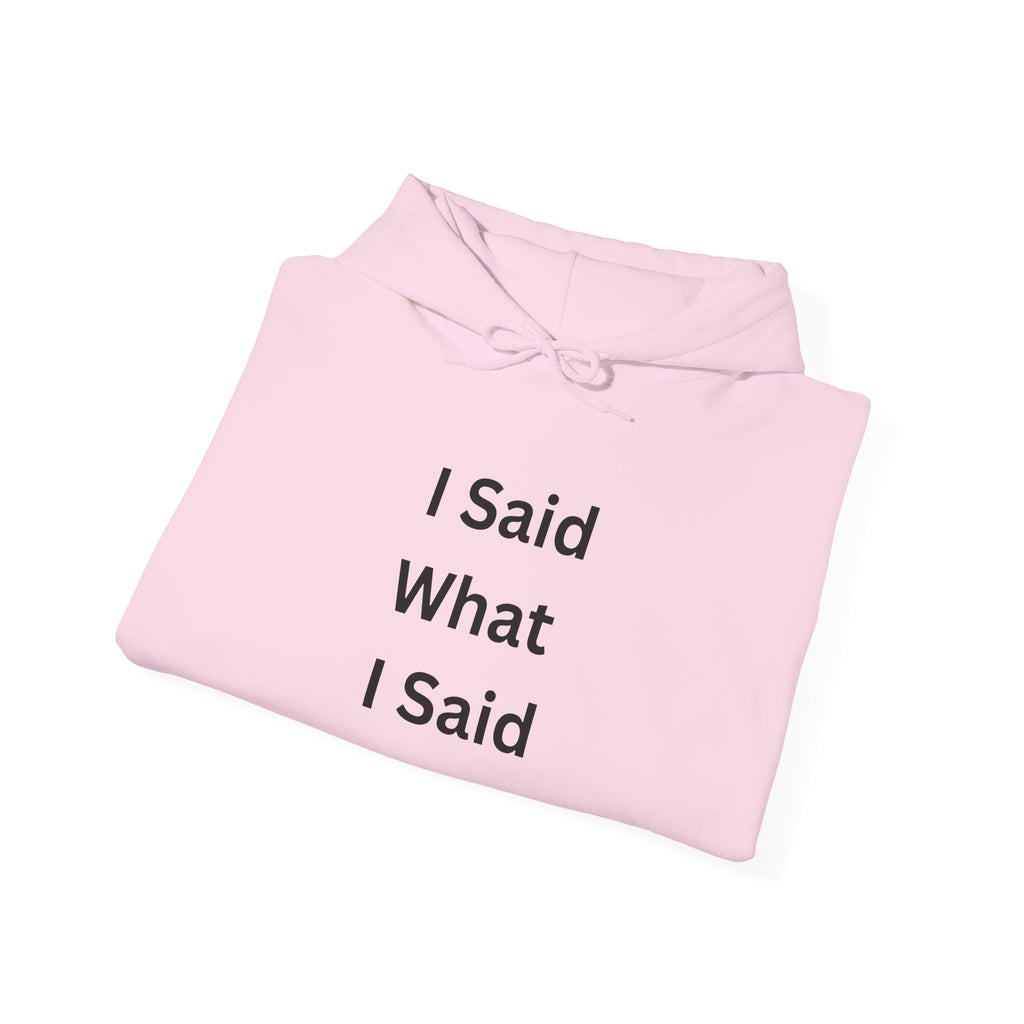 I Said What I Said Hoodie - Unisex Heavy Blend™ Sweatshirt, Motivational Quote Hoodie, Casual Wear, Gift for Friends, Cozy Style