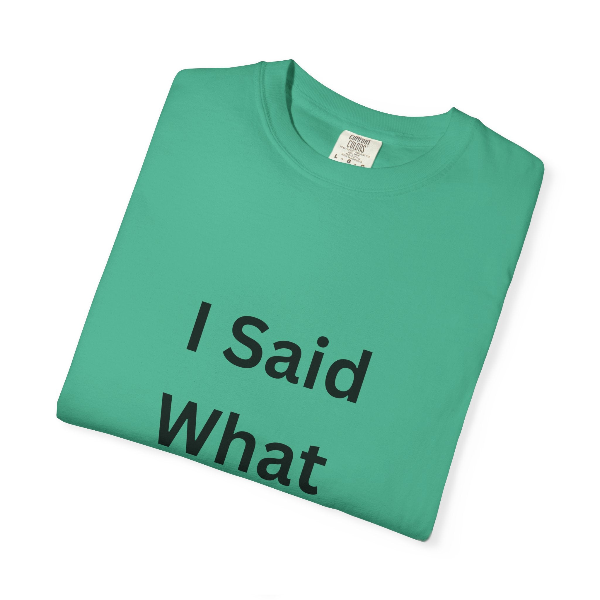 Unisex Garment-Dyed T-Shirt with 'I Said What I Said' Print, Casual Tee, Gift for Friends, Pop Culture Apparel, Relaxed Fit