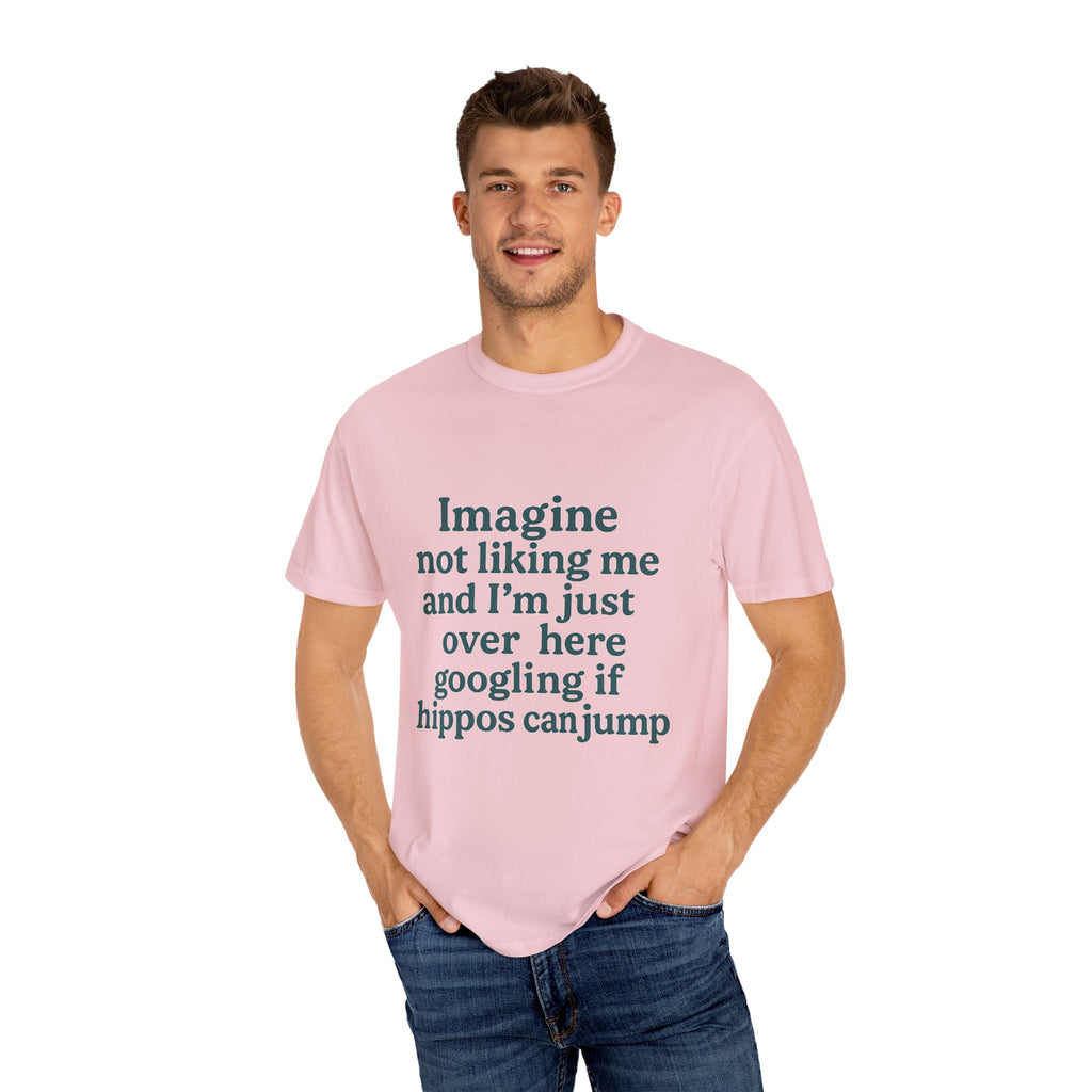 Humorous Unisex Garment-Dyed T-Shirt - 'Imagine Not Liking Me'