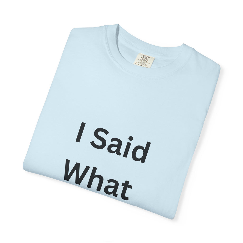 Unisex Garment-Dyed T-Shirt with 'I Said What I Said' Print, Casual Tee, Gift for Friends, Pop Culture Apparel, Relaxed Fit