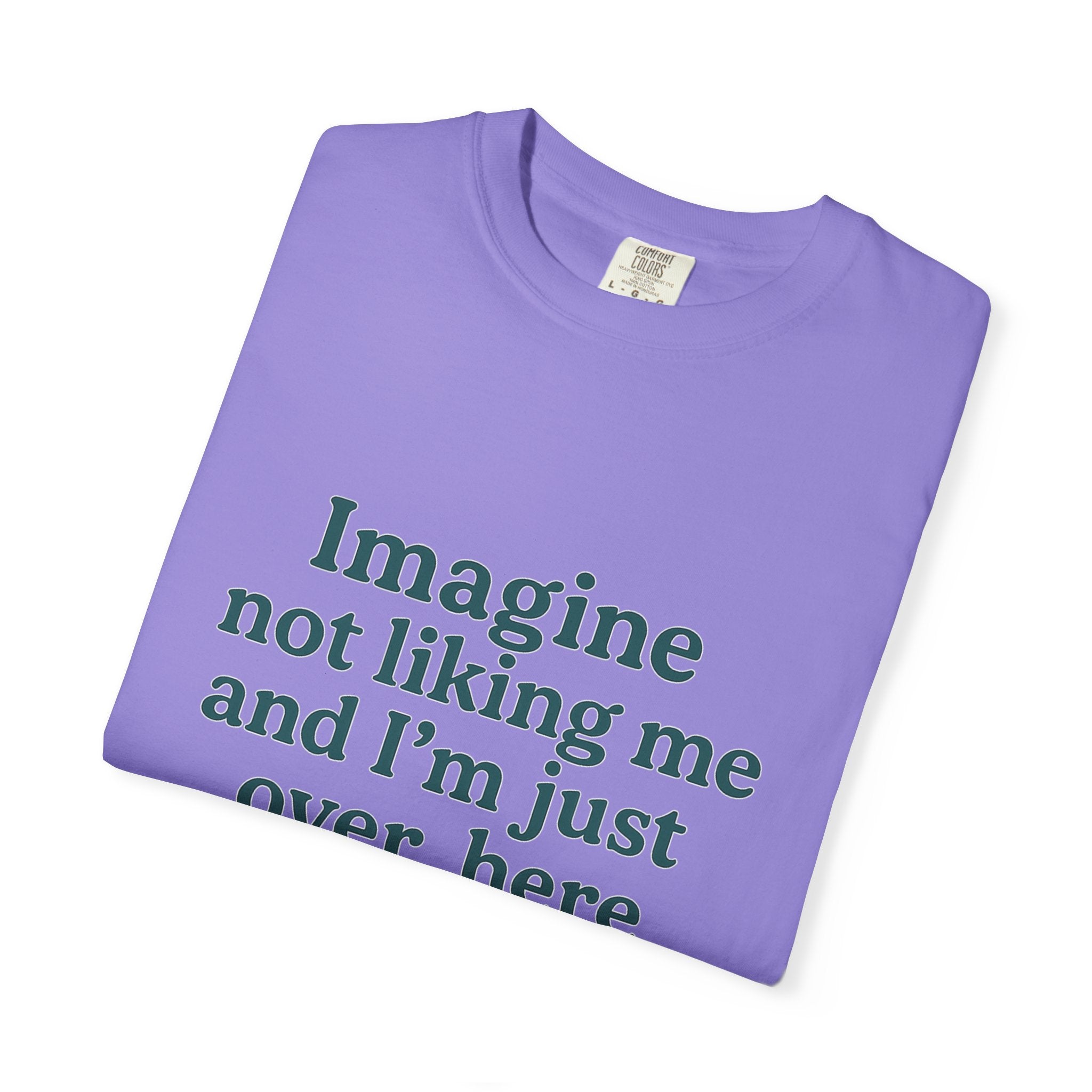 Humorous Unisex Garment-Dyed T-Shirt - 'Imagine Not Liking Me'