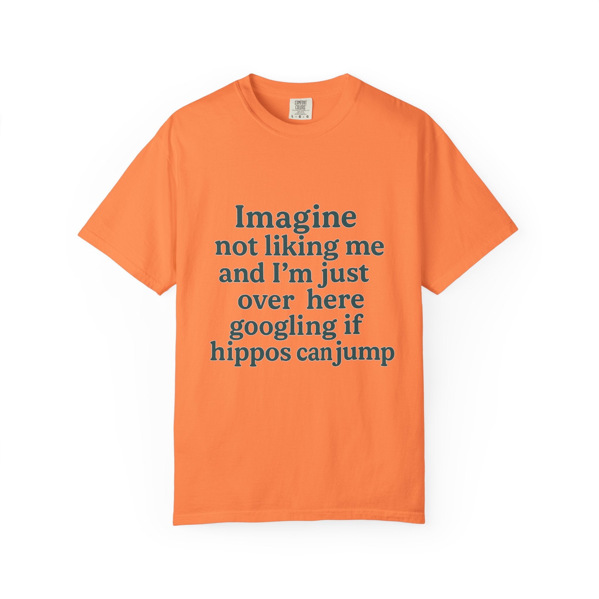 Humorous Unisex Garment-Dyed T-Shirt - 'Imagine Not Liking Me'