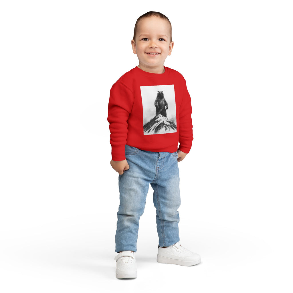 Bear Mountain Snow Toddler Sweatshirt