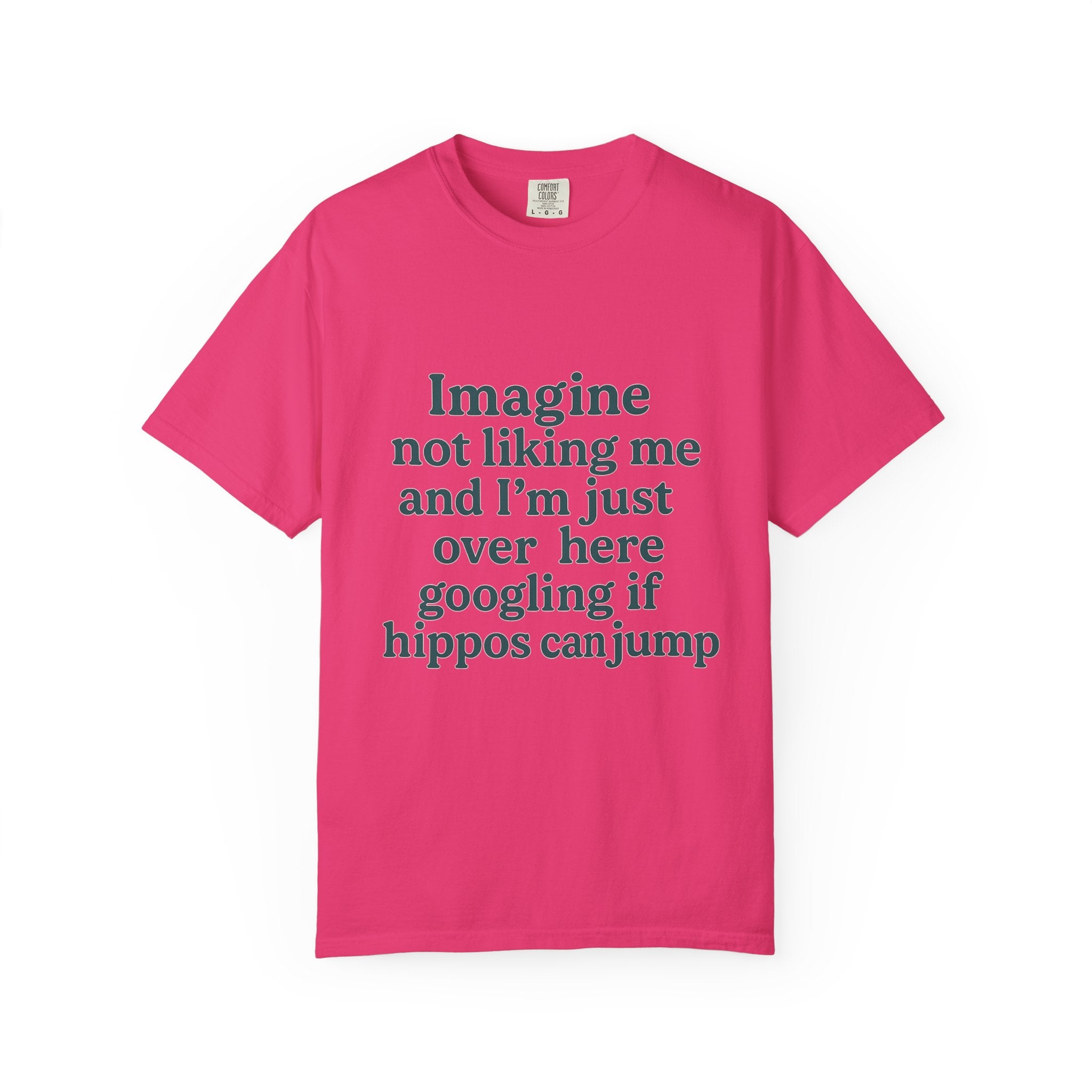 Humorous Unisex Garment-Dyed T-Shirt - 'Imagine Not Liking Me'