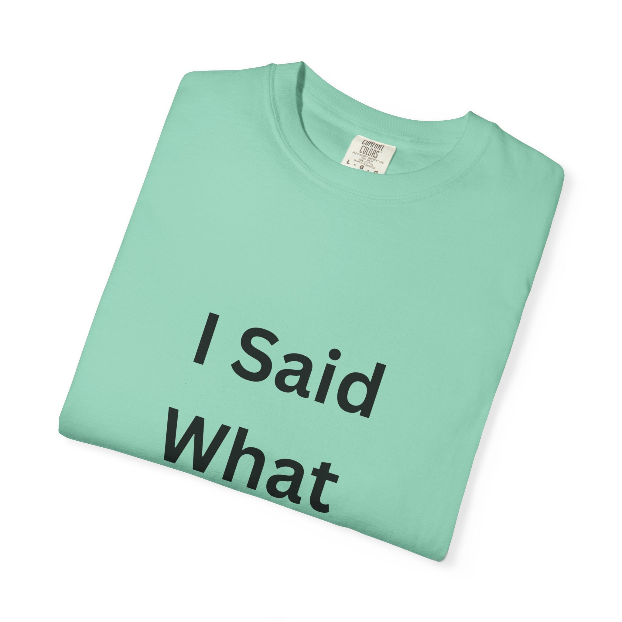 Unisex Garment-Dyed T-Shirt with 'I Said What I Said' Print, Casual Tee, Gift for Friends, Pop Culture Apparel, Relaxed Fit