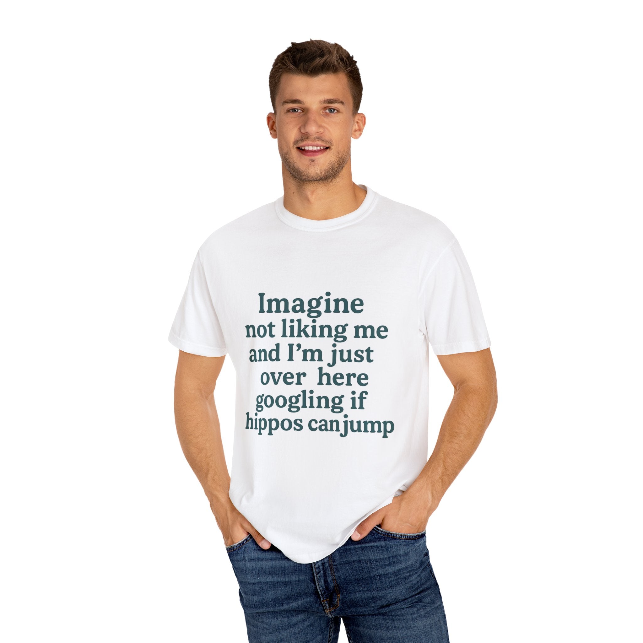 Humorous Unisex Garment-Dyed T-Shirt - 'Imagine Not Liking Me'