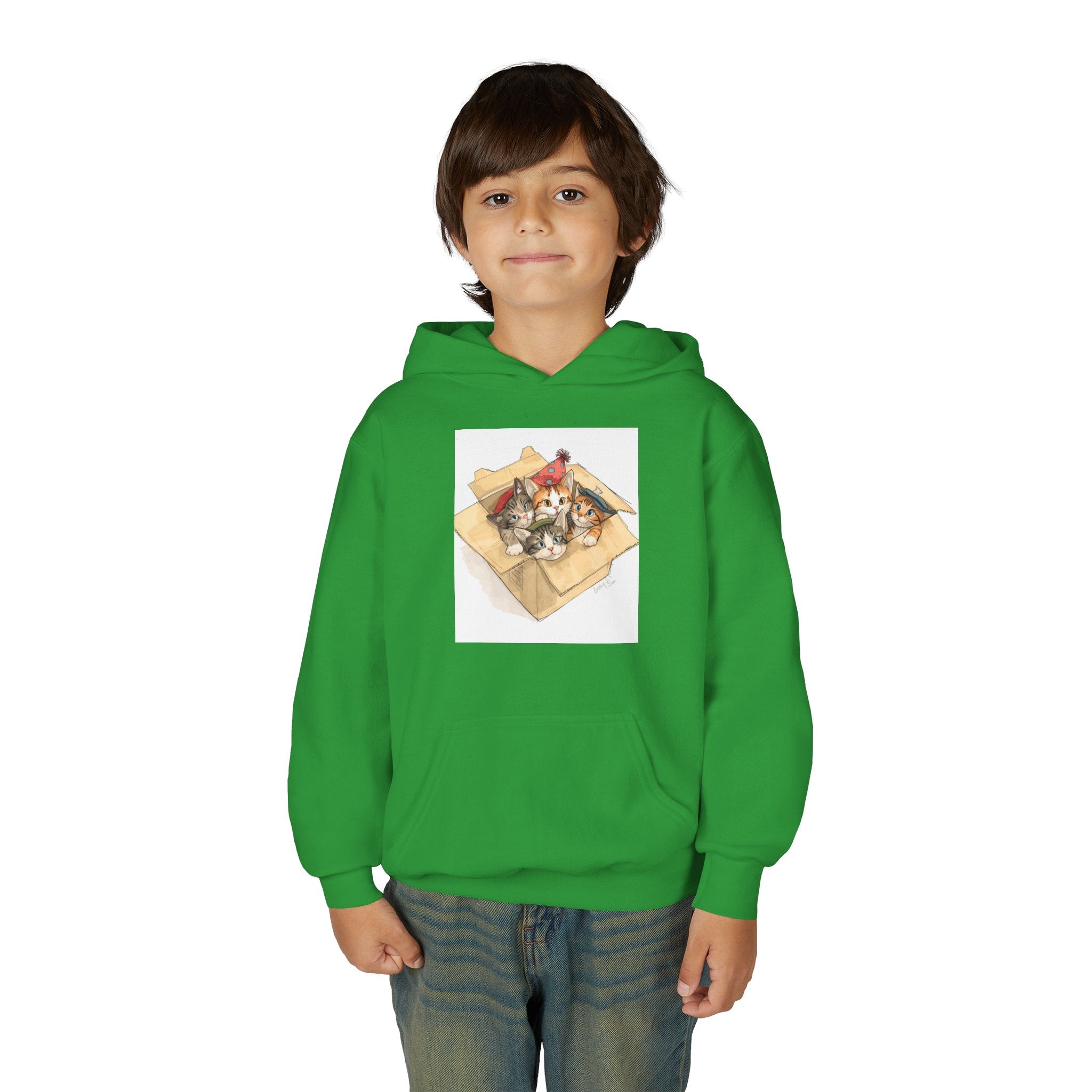 Cute Kittens In Box Youth Heavy Blend Hooded Sweatshirt