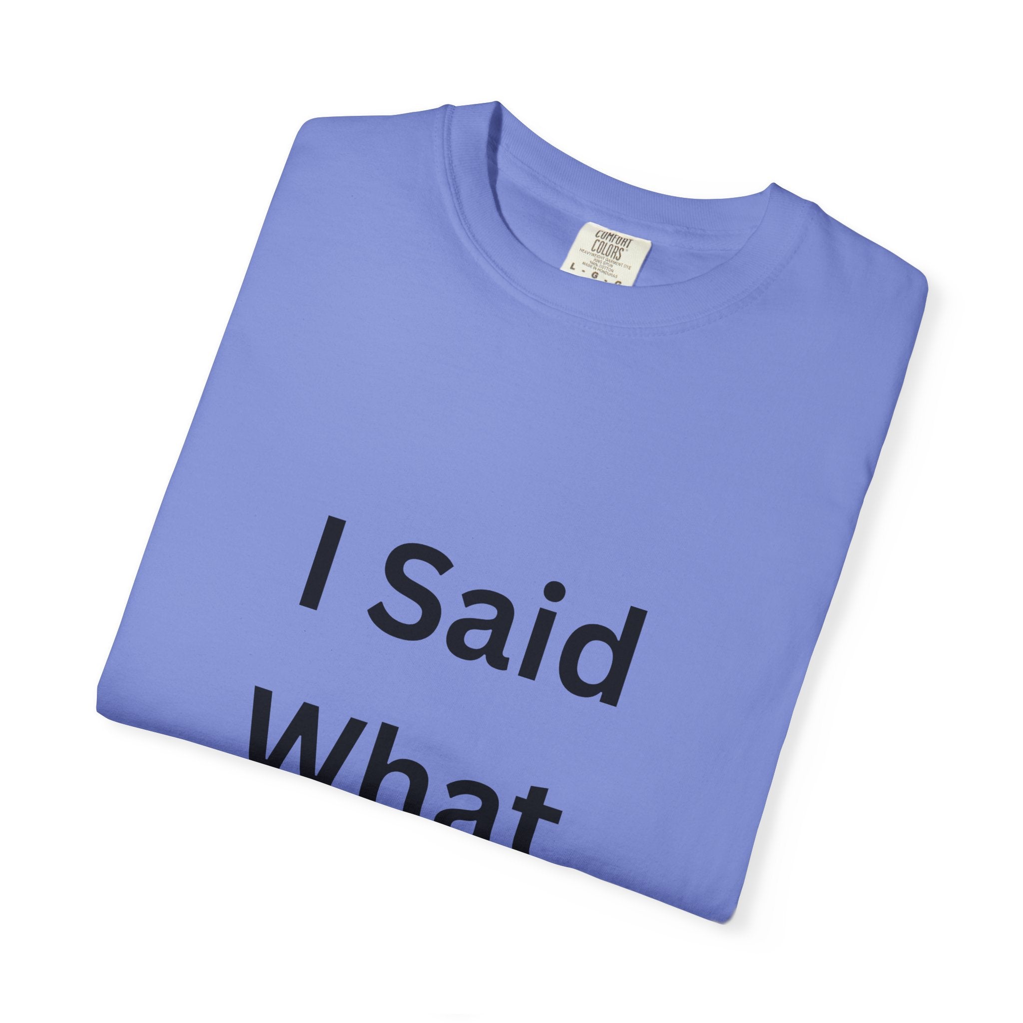 I Said What I Said Unisex Garment-Dyed T-shirt