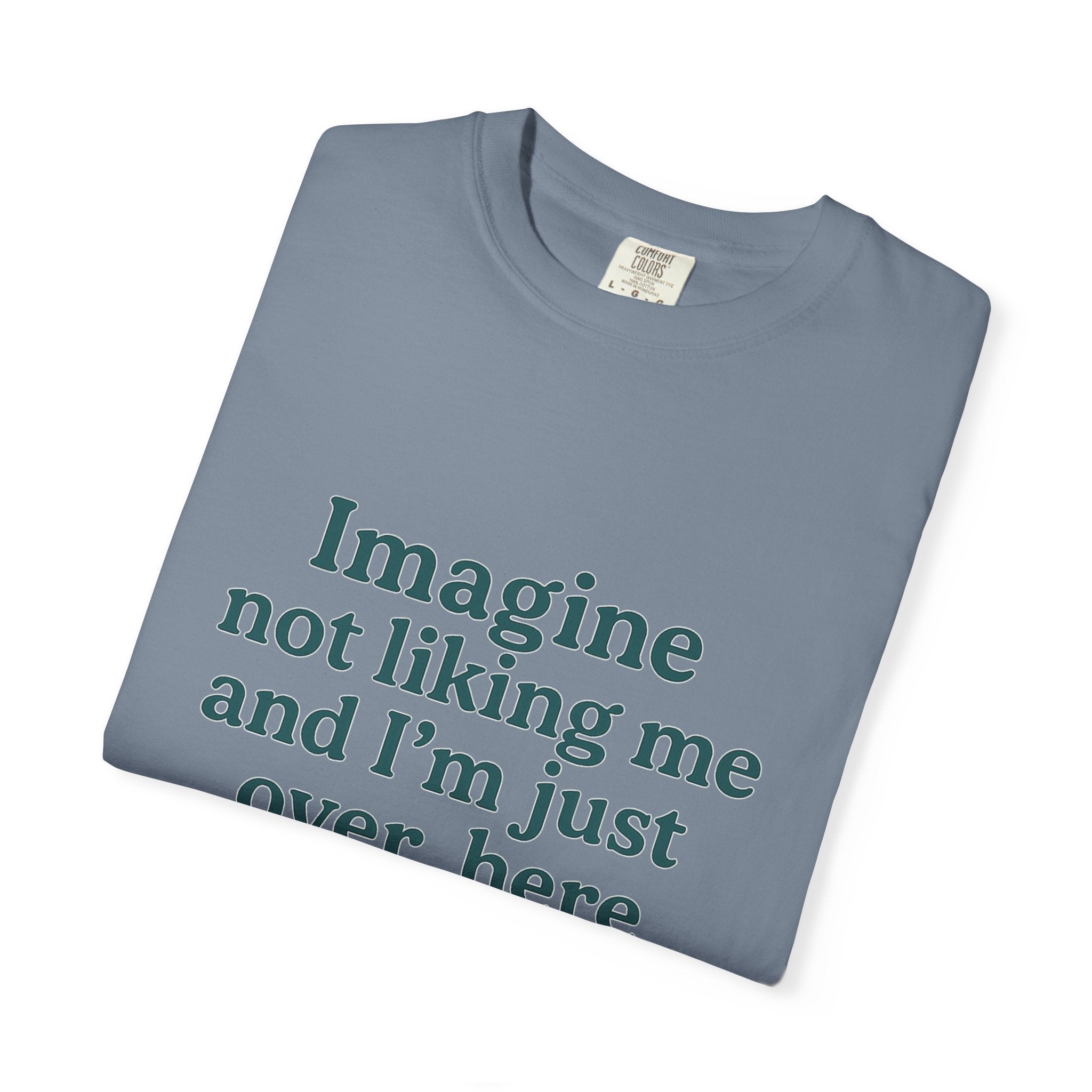 Humorous Unisex Garment-Dyed T-Shirt - 'Imagine Not Liking Me'