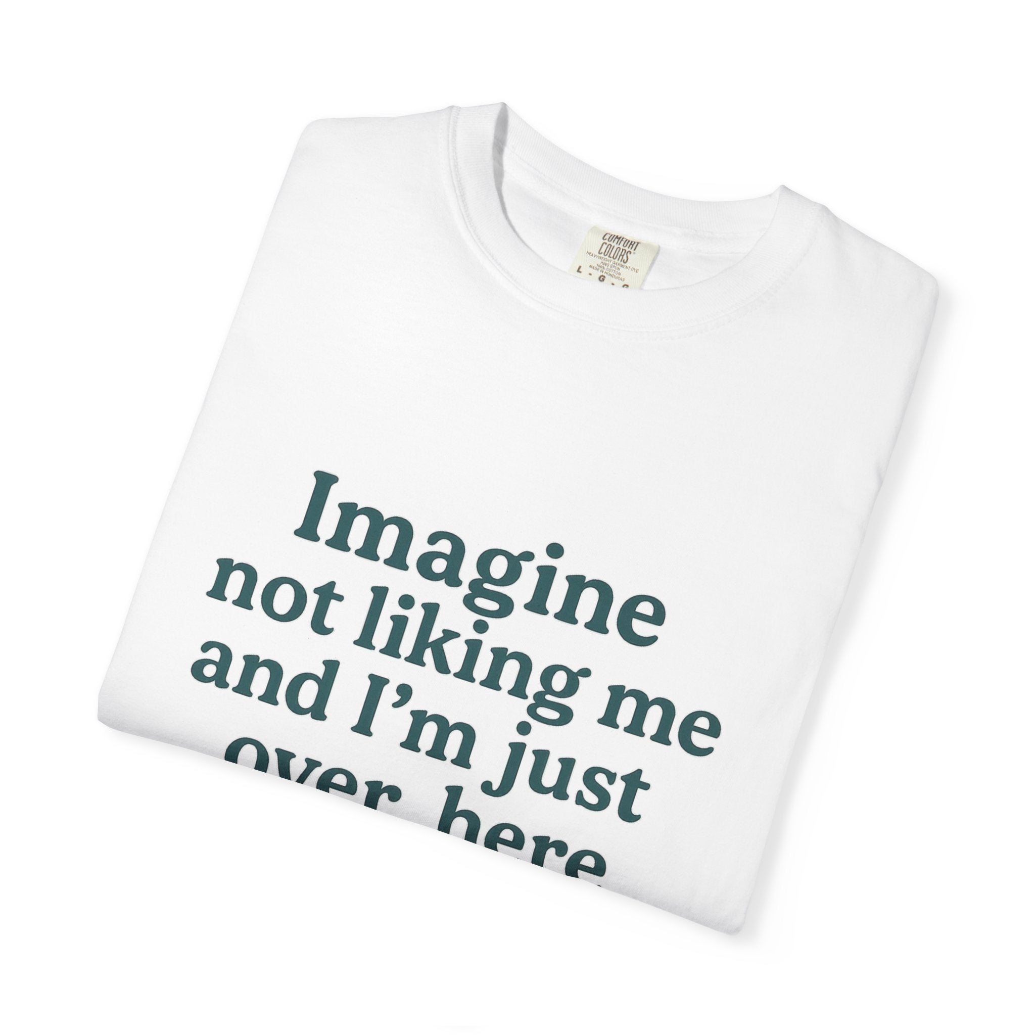 Humorous Unisex Garment-Dyed T-Shirt - 'Imagine Not Liking Me'