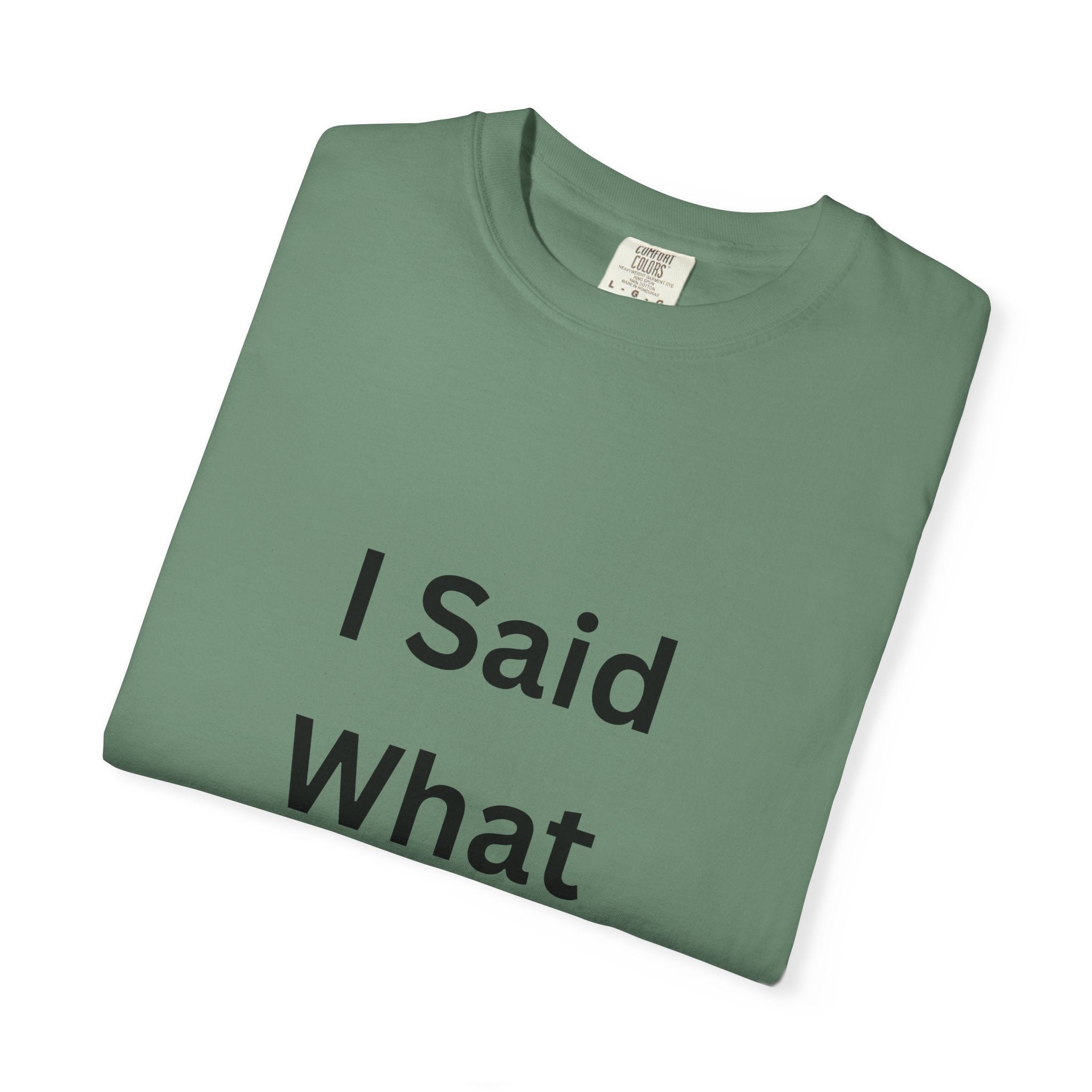 Unisex Garment-Dyed T-Shirt with 'I Said What I Said' Print, Casual Tee, Gift for Friends, Pop Culture Apparel, Relaxed Fit
