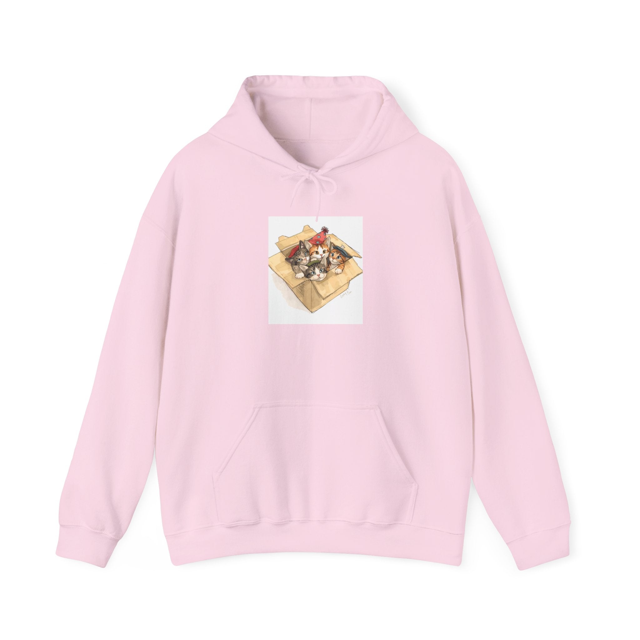 Cozy Kittens In Box Hoodie, Sweatshirt Gift for Cat Enthusiasts, Casual Wear for Pet Lovers, Birthday, Christmas Sweatshirt