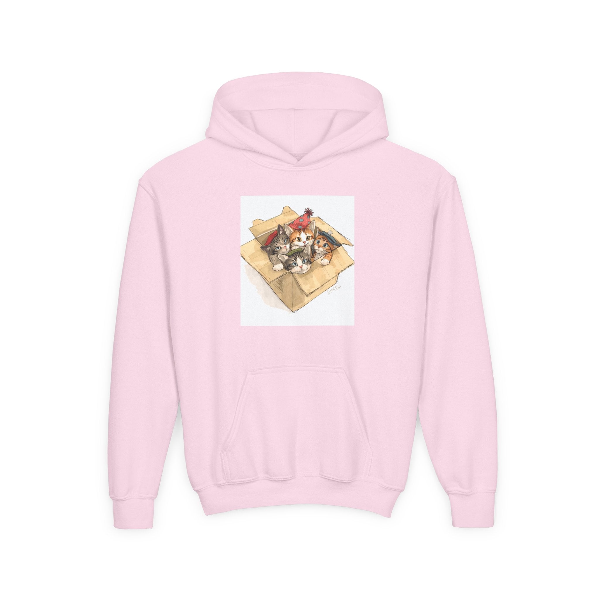 Cute Kittens In Box Youth Heavy Blend Hooded Sweatshirt