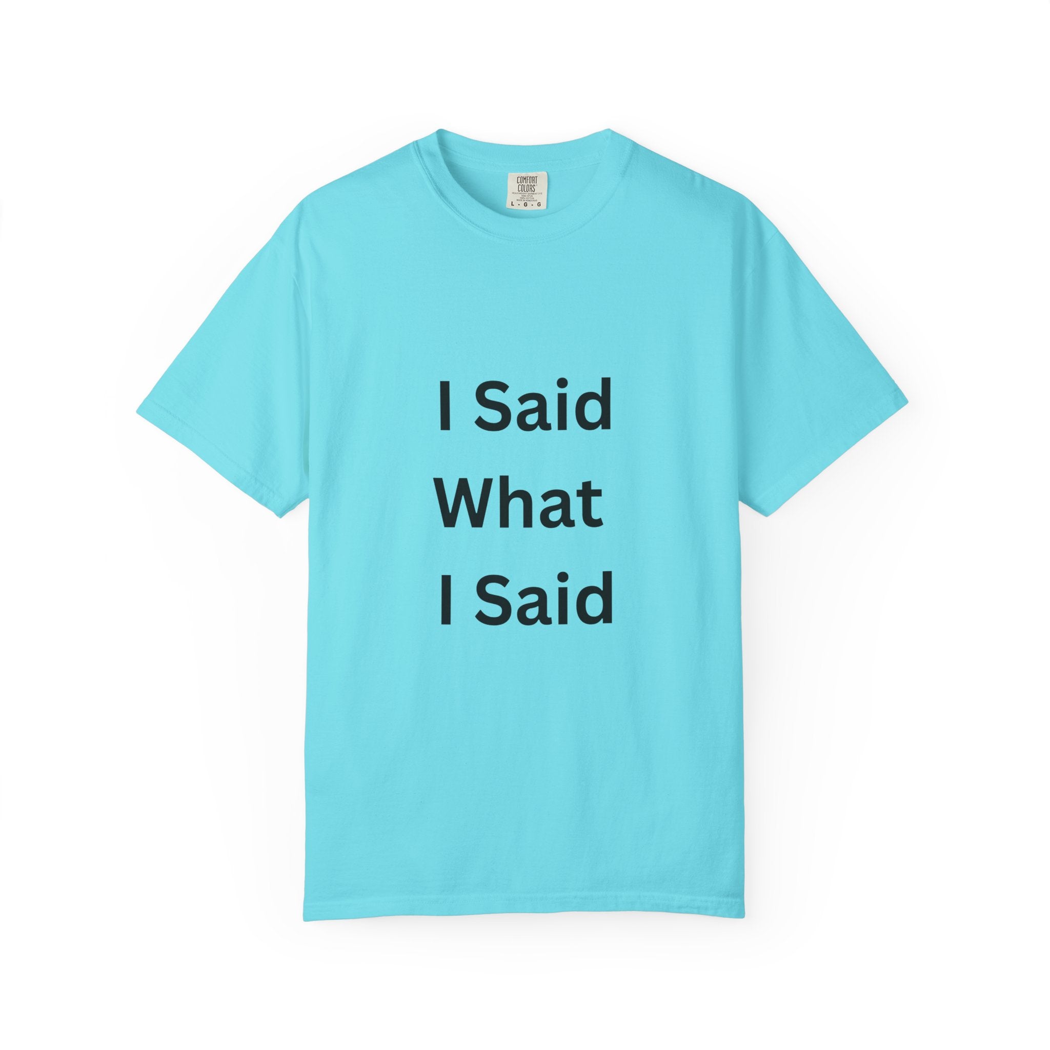 Unisex Garment-Dyed T-Shirt with 'I Said What I Said' Print, Casual Tee, Gift for Friends, Pop Culture Apparel, Relaxed Fit