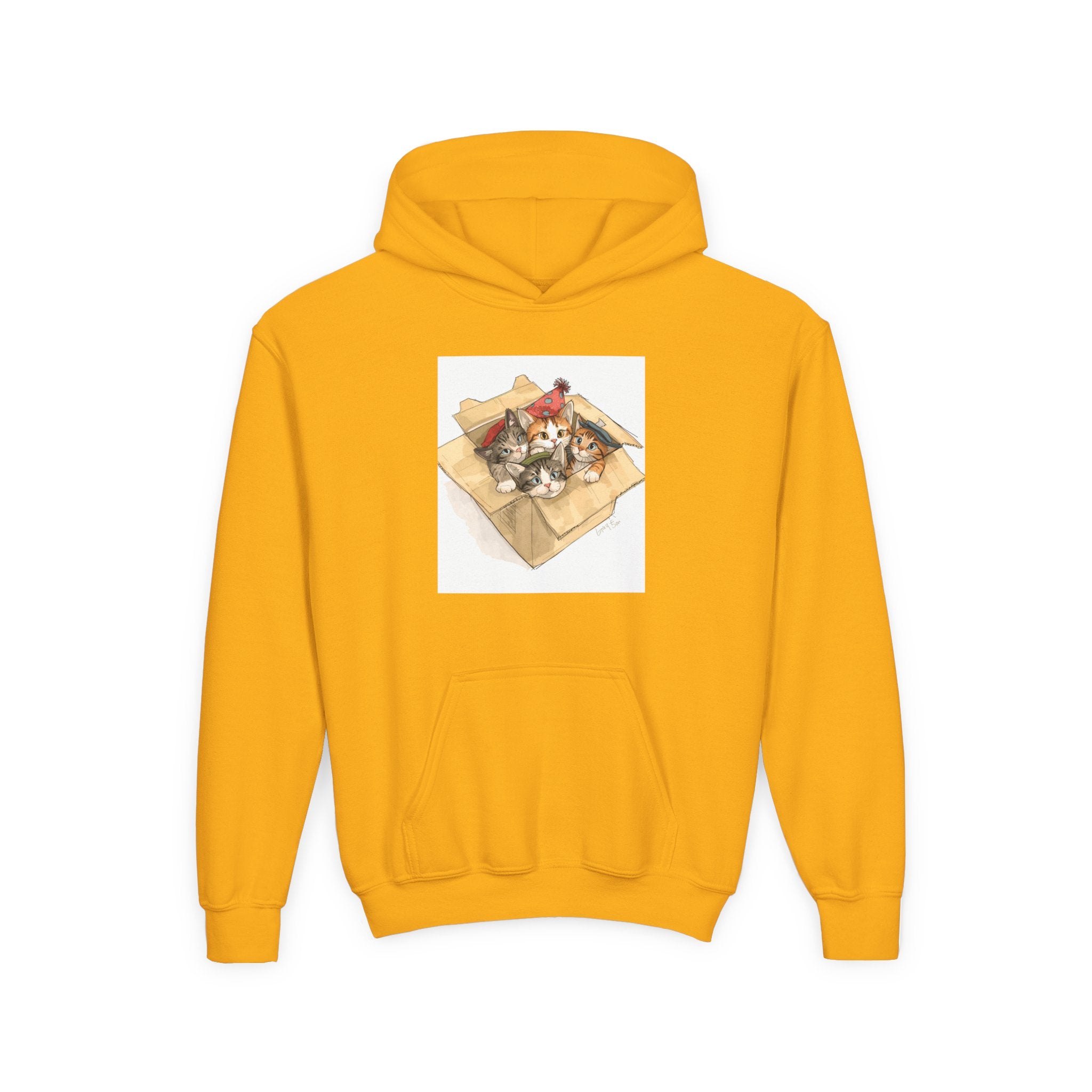 Cute Kittens In Box Youth Heavy Blend Hooded Sweatshirt
