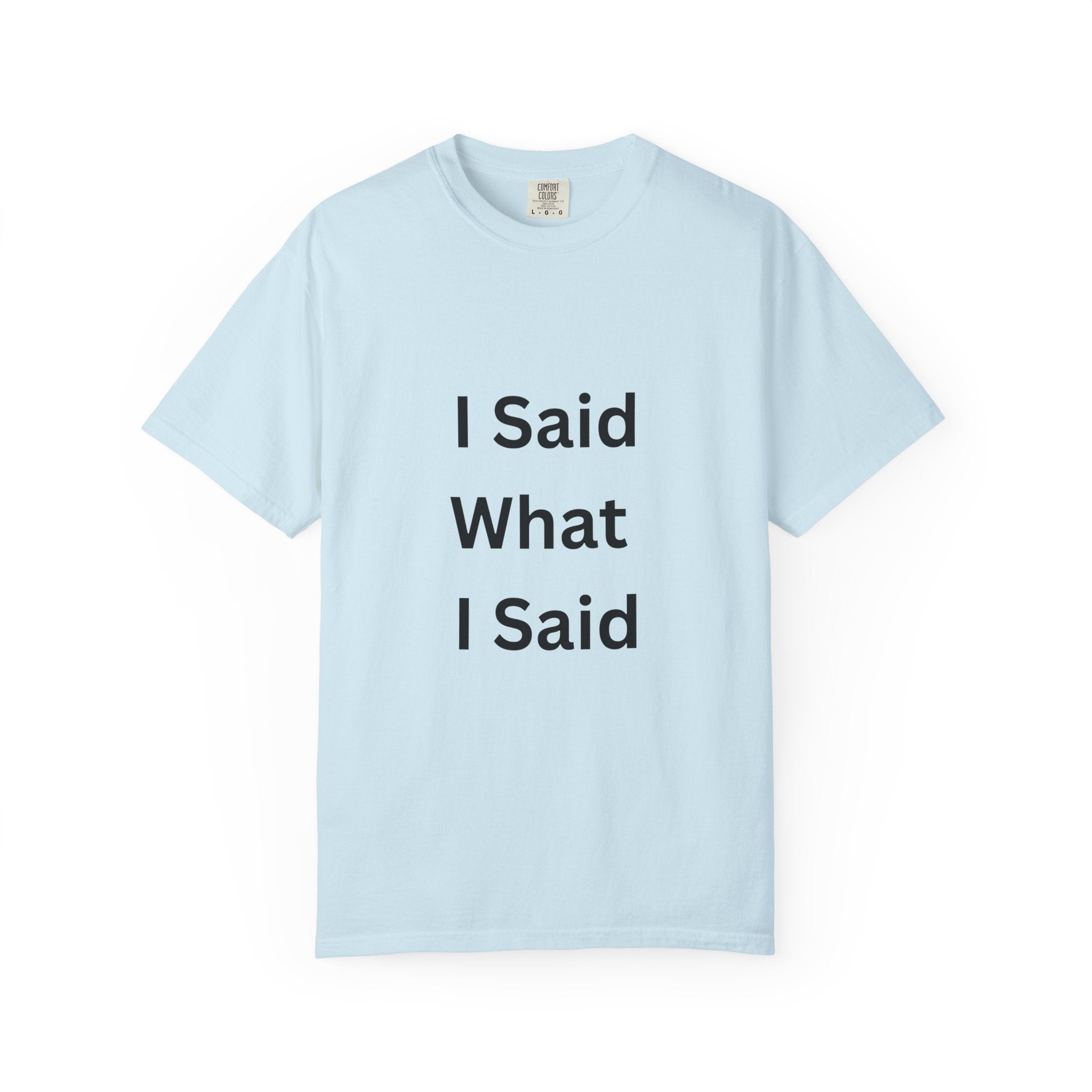 Unisex Garment-Dyed T-Shirt with 'I Said What I Said' Print, Casual Tee, Gift for Friends, Pop Culture Apparel, Relaxed Fit