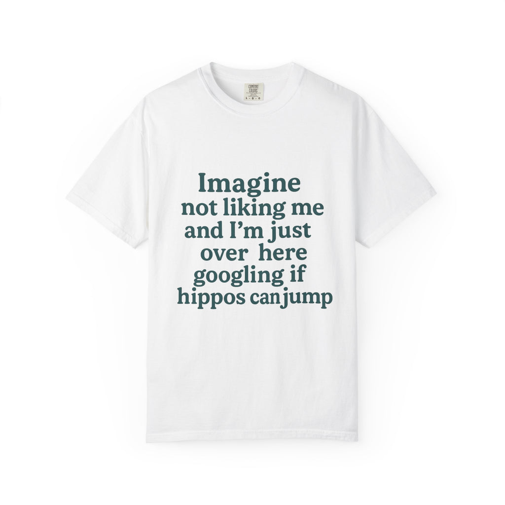 Humorous Unisex Garment-Dyed T-Shirt - 'Imagine Not Liking Me'