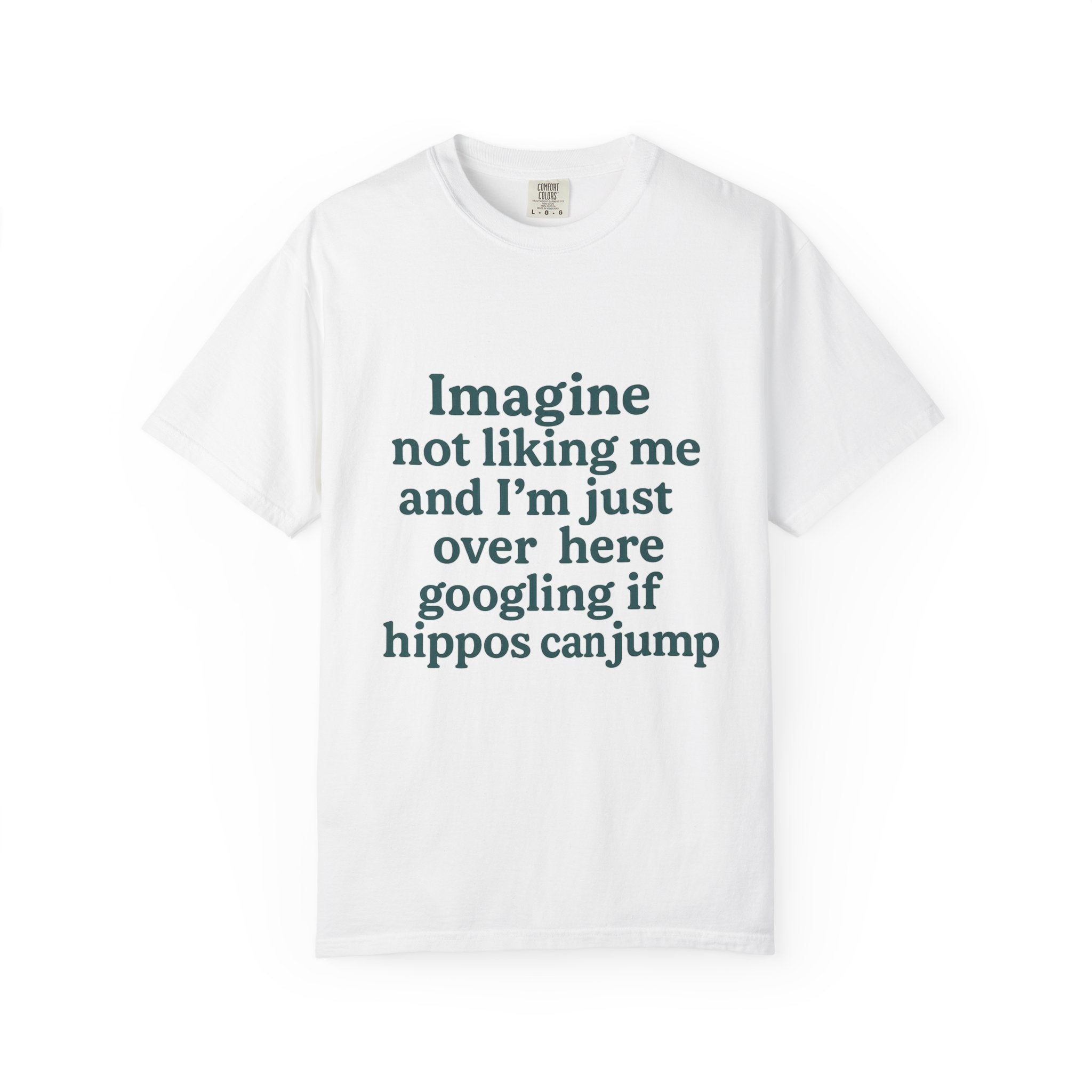 Humorous Unisex Garment-Dyed T-Shirt - 'Imagine Not Liking Me'