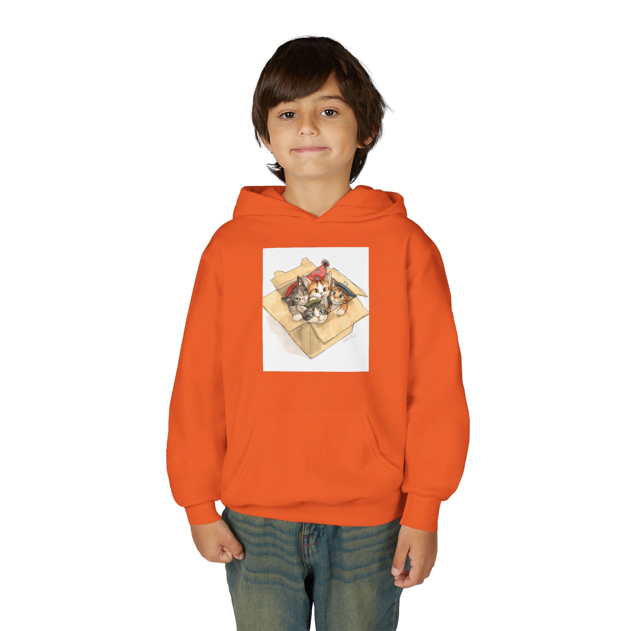 Cute Kittens In Box Youth Heavy Blend Hooded Sweatshirt