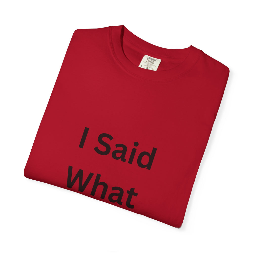 Unisex Garment-Dyed T-Shirt with 'I Said What I Said' Print, Casual Tee, Gift for Friends, Pop Culture Apparel, Relaxed Fit