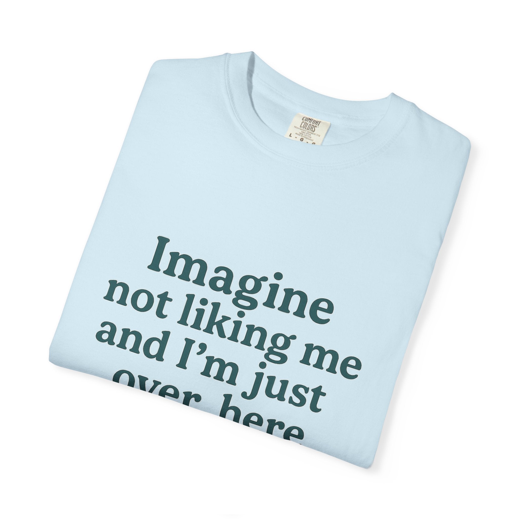 Humorous Unisex Garment-Dyed T-Shirt - 'Imagine Not Liking Me'