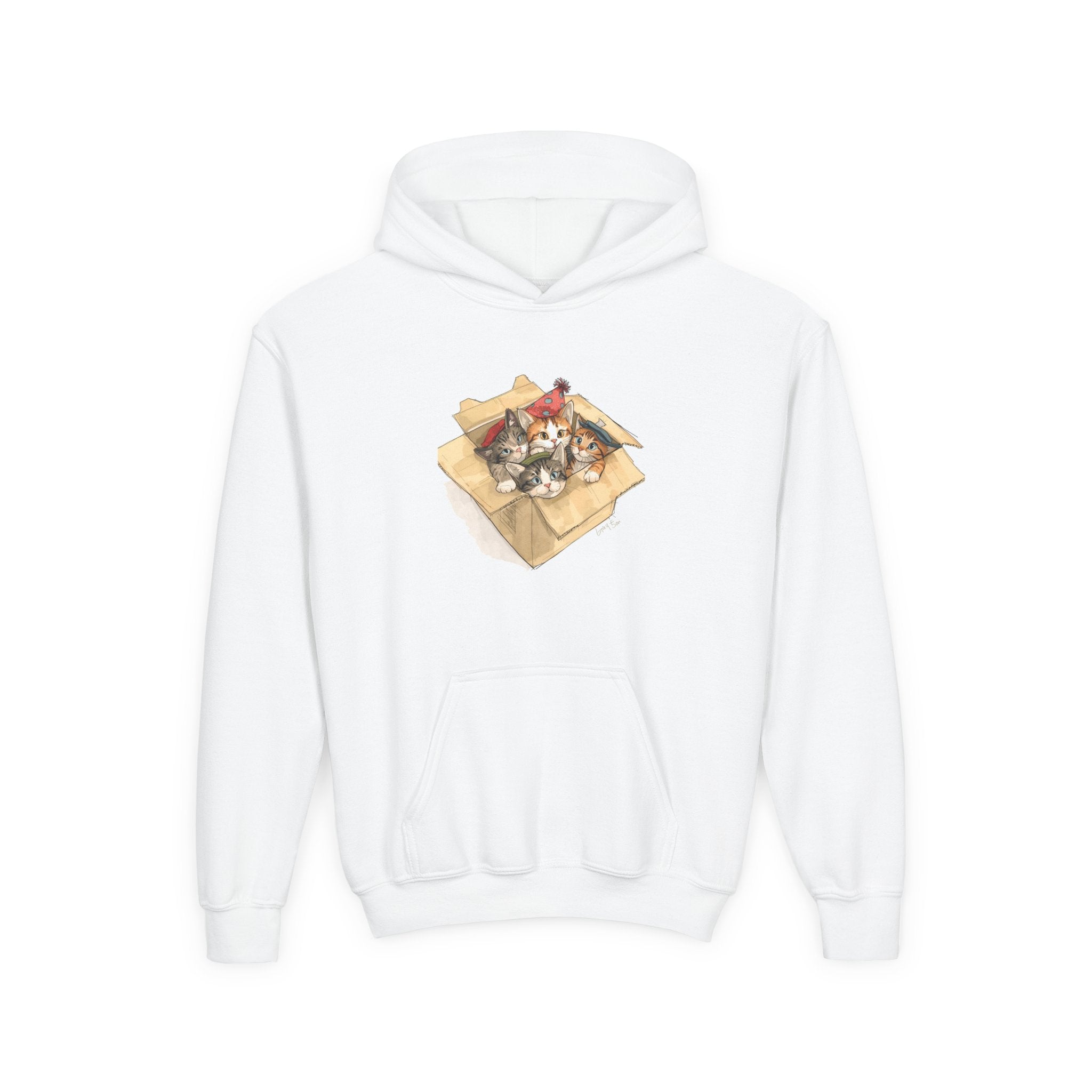 Cute Kittens In Box Youth Heavy Blend Hooded Sweatshirt