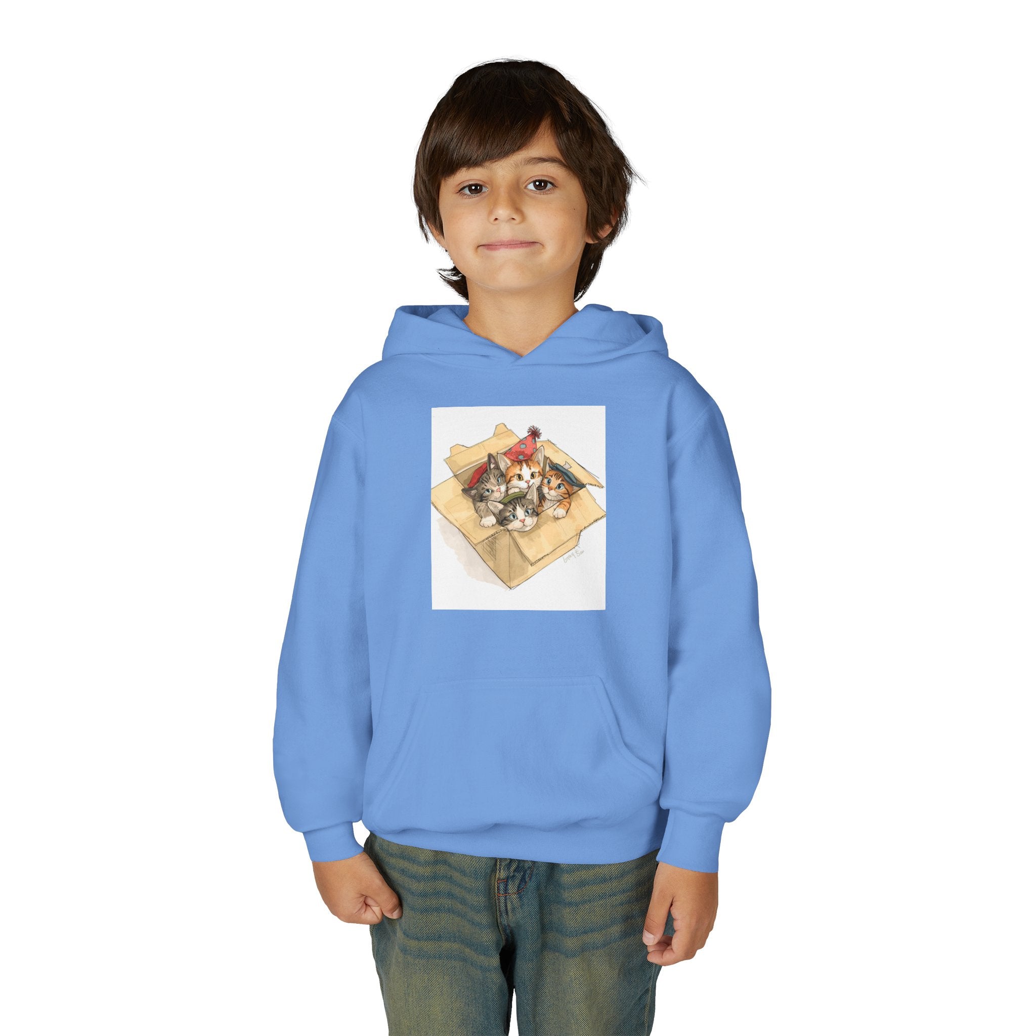 Cute Kittens In Box Youth Heavy Blend Hooded Sweatshirt