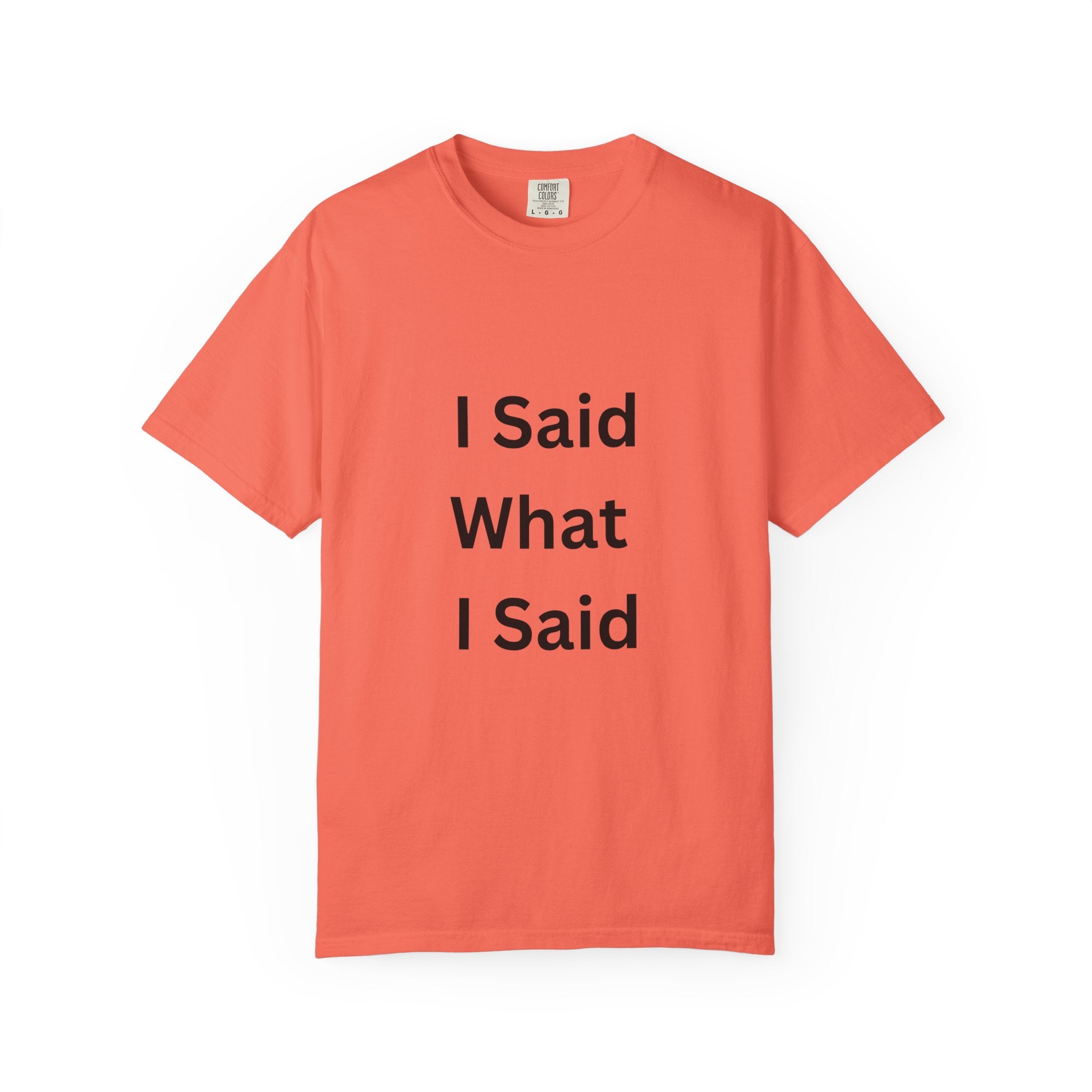 Unisex Garment-Dyed T-Shirt with 'I Said What I Said' Print, Casual Tee, Gift for Friends, Pop Culture Apparel, Relaxed Fit