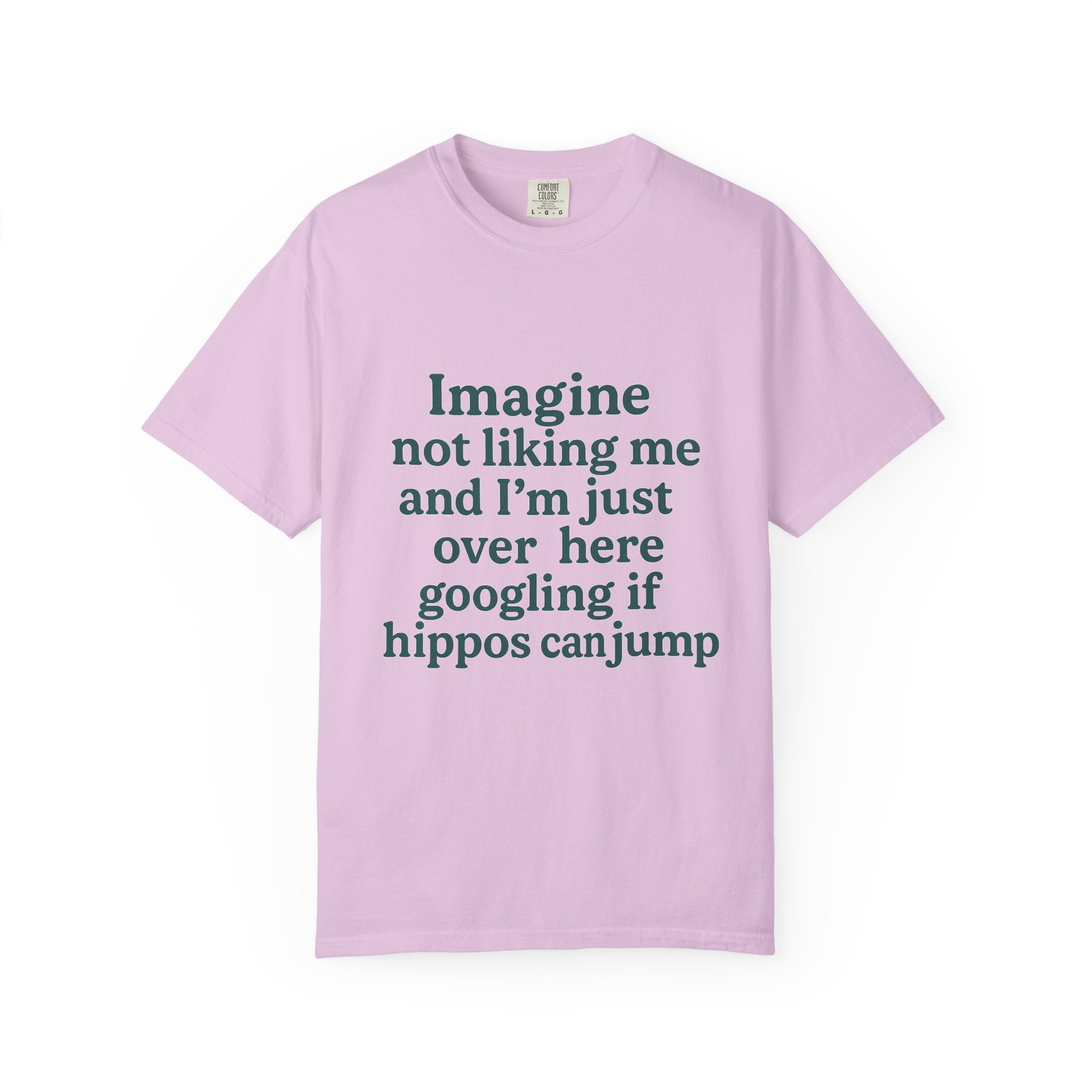 Humorous Unisex Garment-Dyed T-Shirt - 'Imagine Not Liking Me'