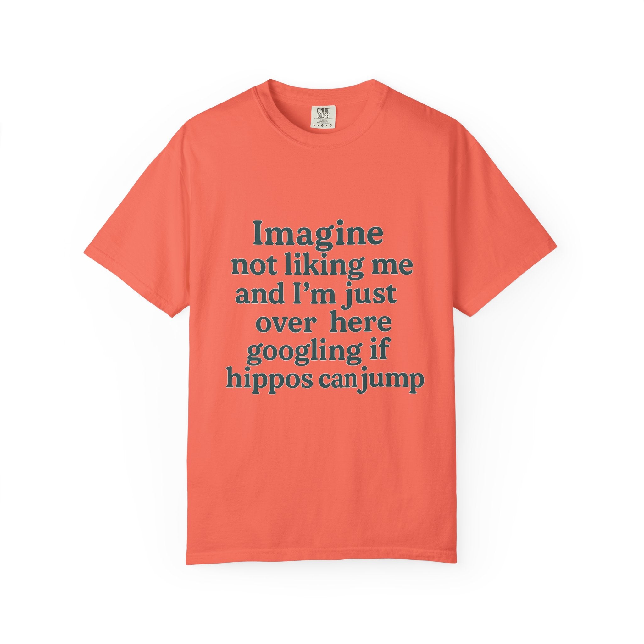 Humorous Unisex Garment-Dyed T-Shirt - 'Imagine Not Liking Me'