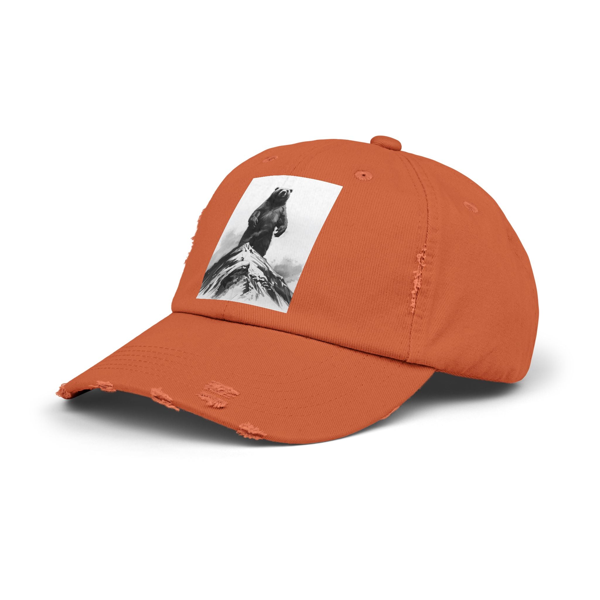 Bear Mountain Snow Unisex Distressed Cap