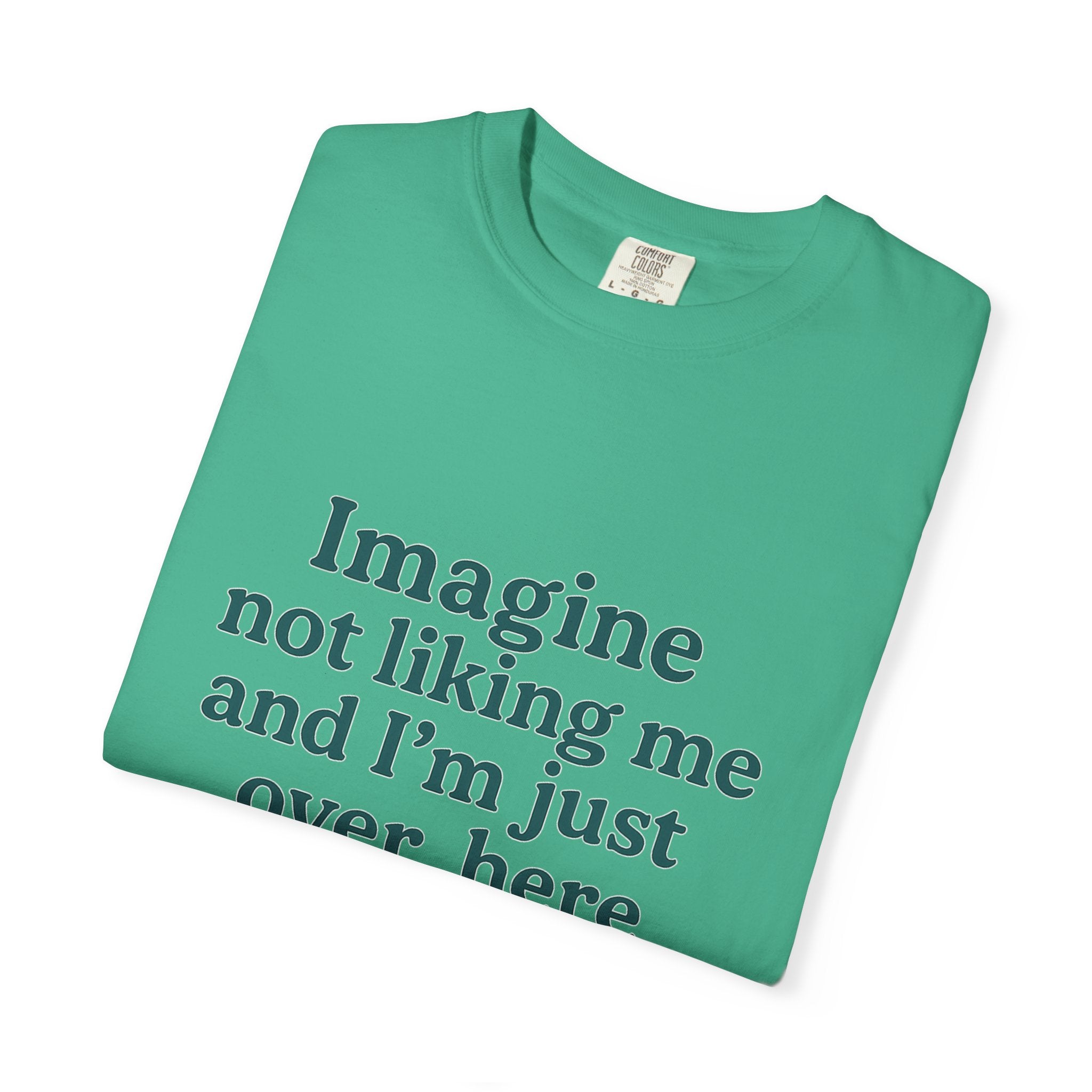 Humorous Unisex Garment-Dyed T-Shirt - 'Imagine Not Liking Me'