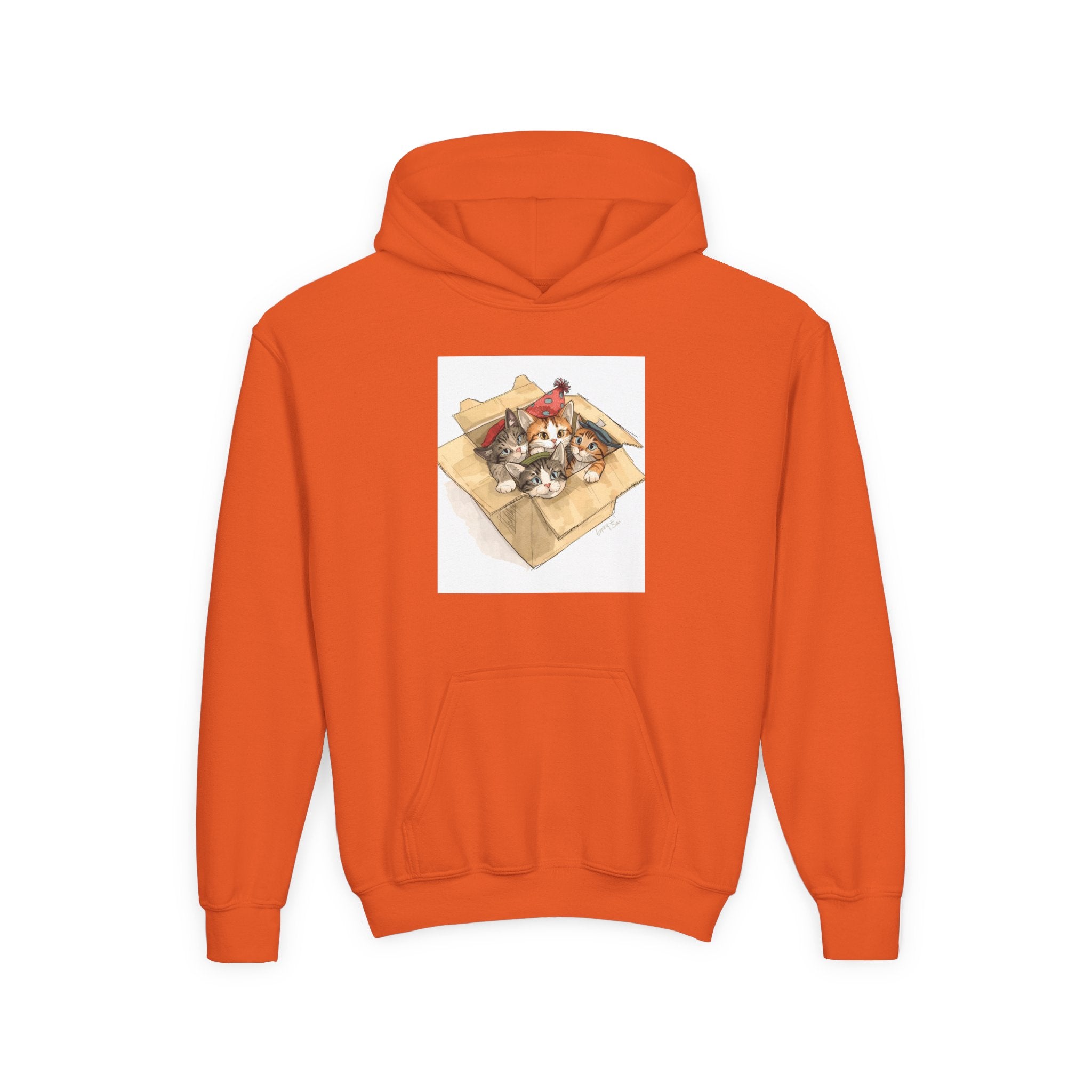 Cute Kittens In Box Youth Heavy Blend Hooded Sweatshirt